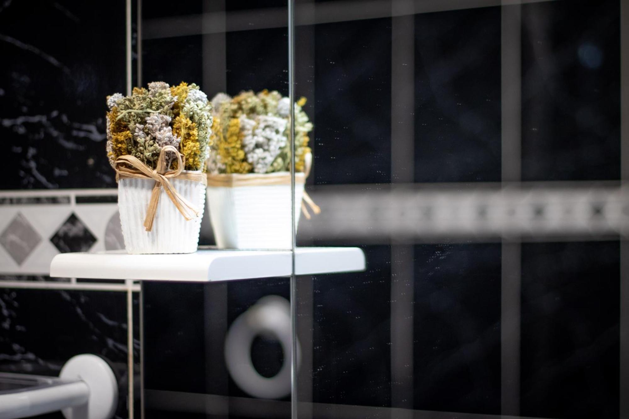 Apartment Wonder House Feteiras