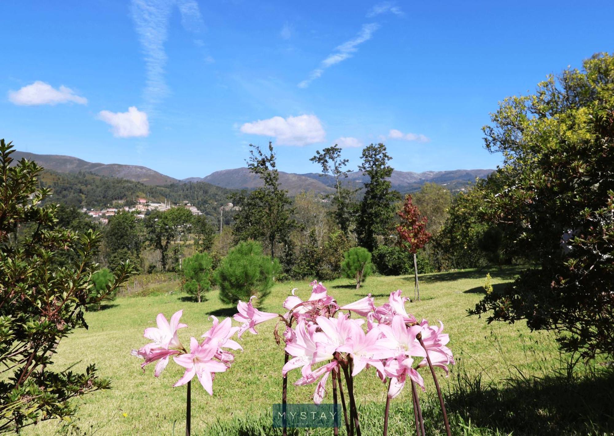 Mystay - Quinta Da Balanca