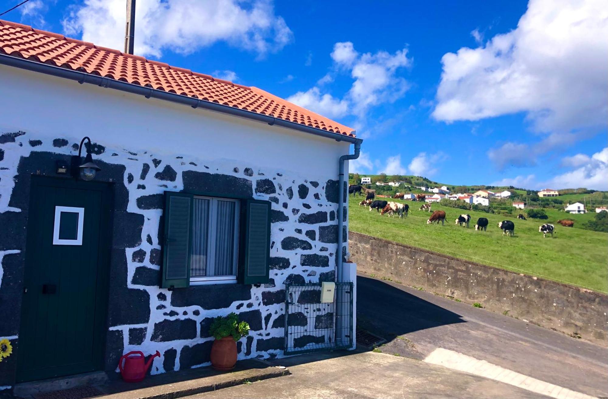 Holiday home Paraiso Da Pedreira Nordeste (Azores)