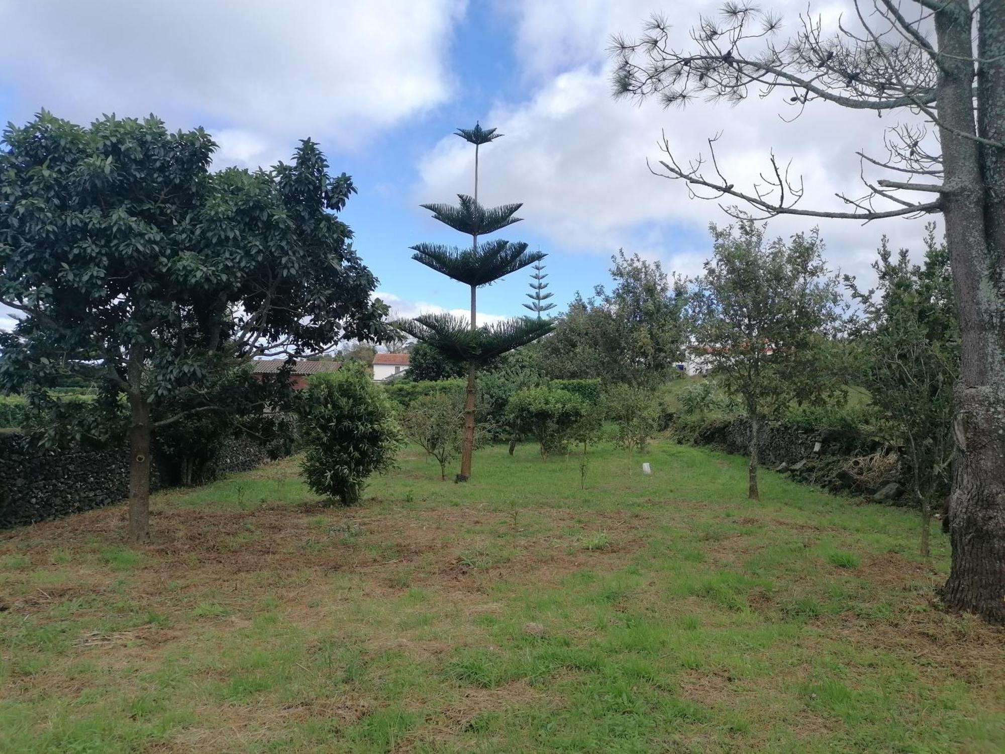 Espaco Roteiro De Mimos Hospedagem domiciliar