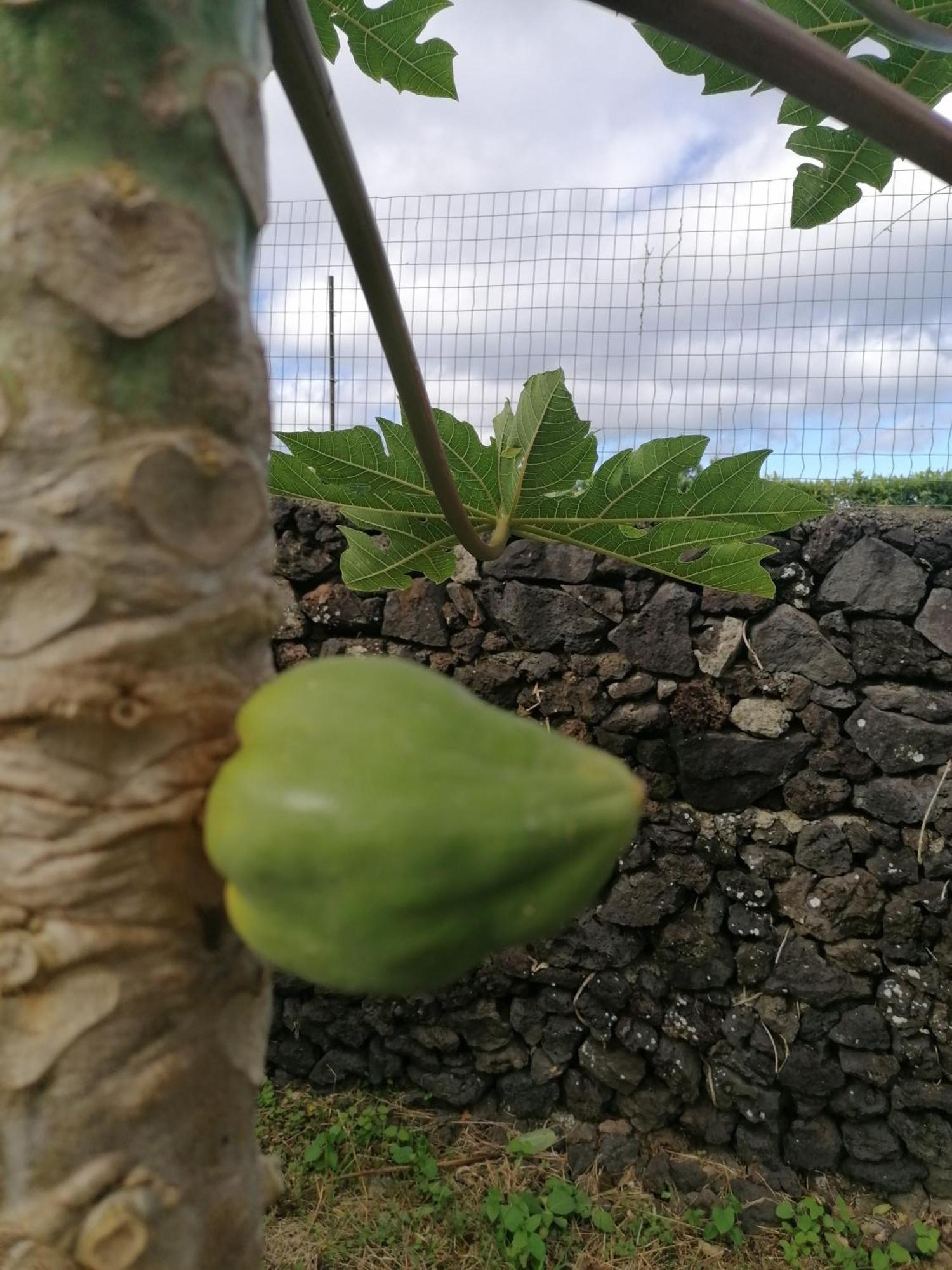 Espaco Roteiro De Mimos * Açores