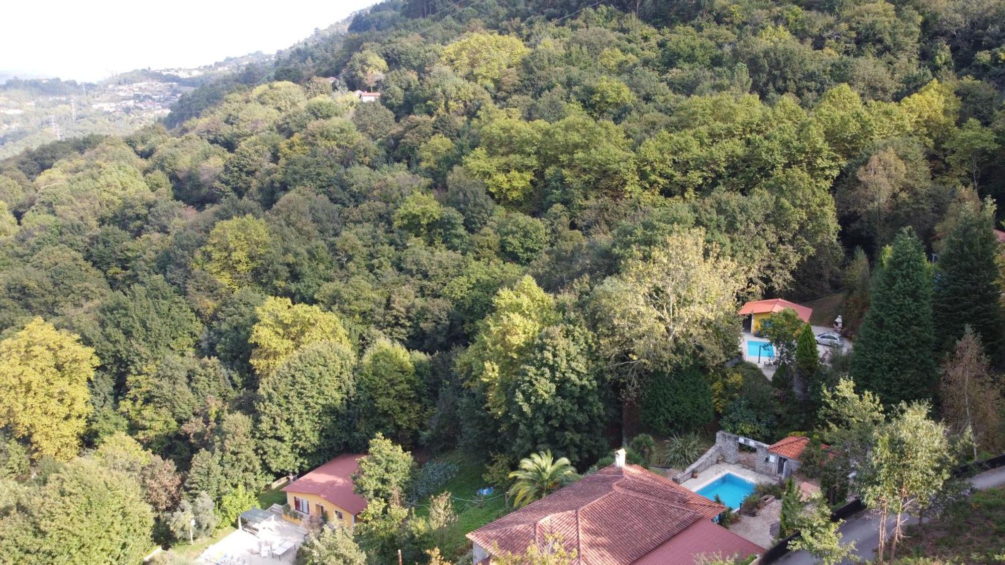Villa Casas Guimbras *