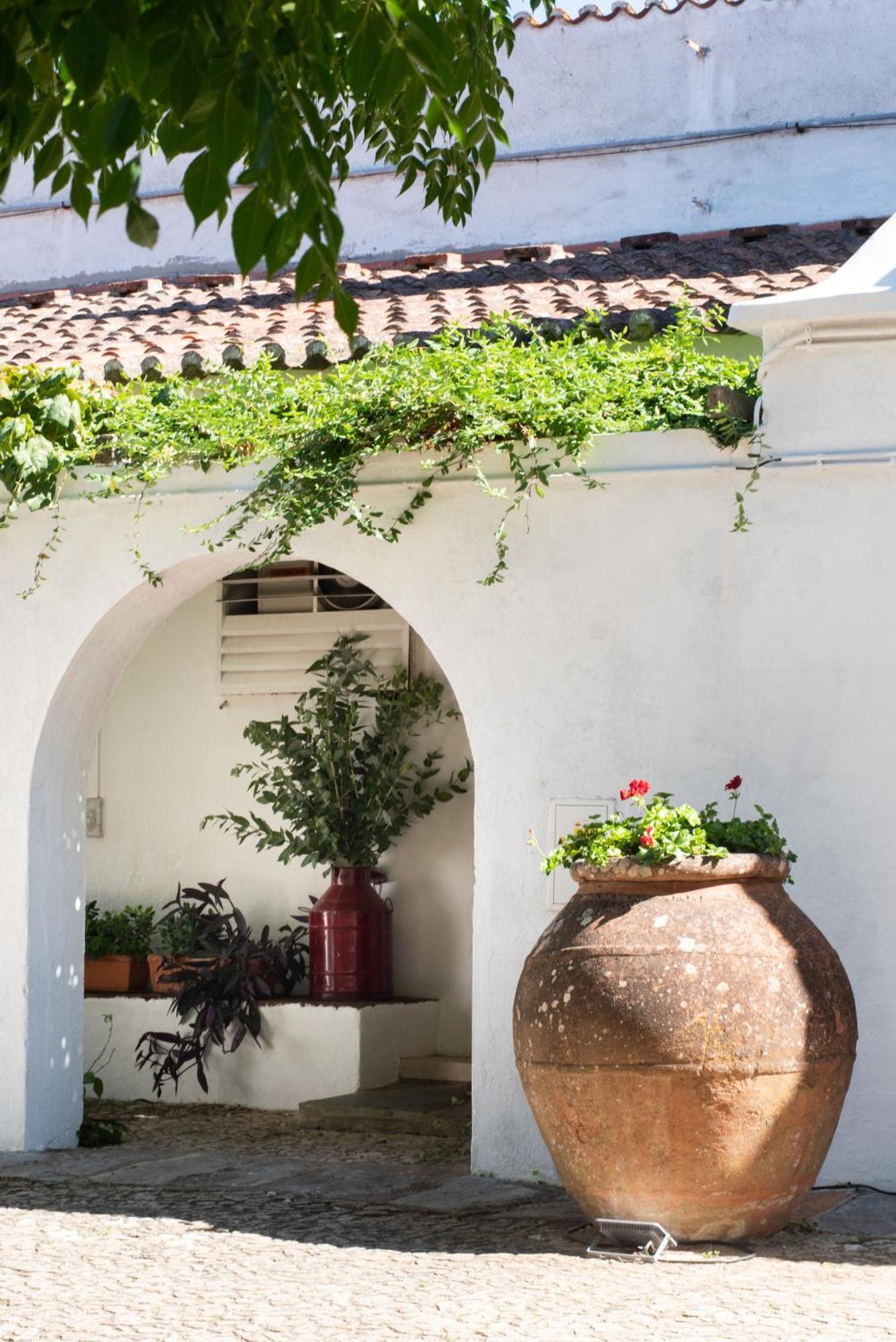 Farm stay Monte Dos Pensamentos - Turismo Rural Estremoz