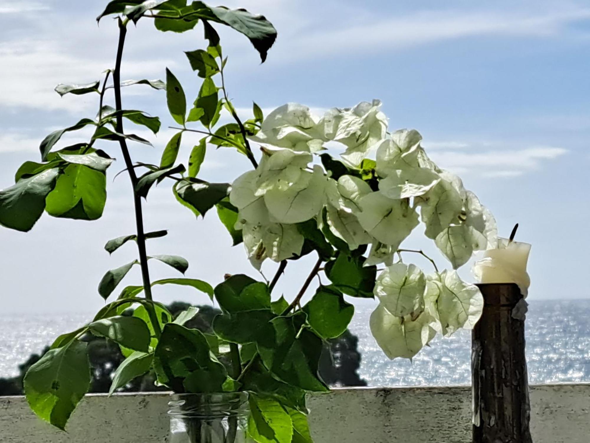 Friends'house - Azores *