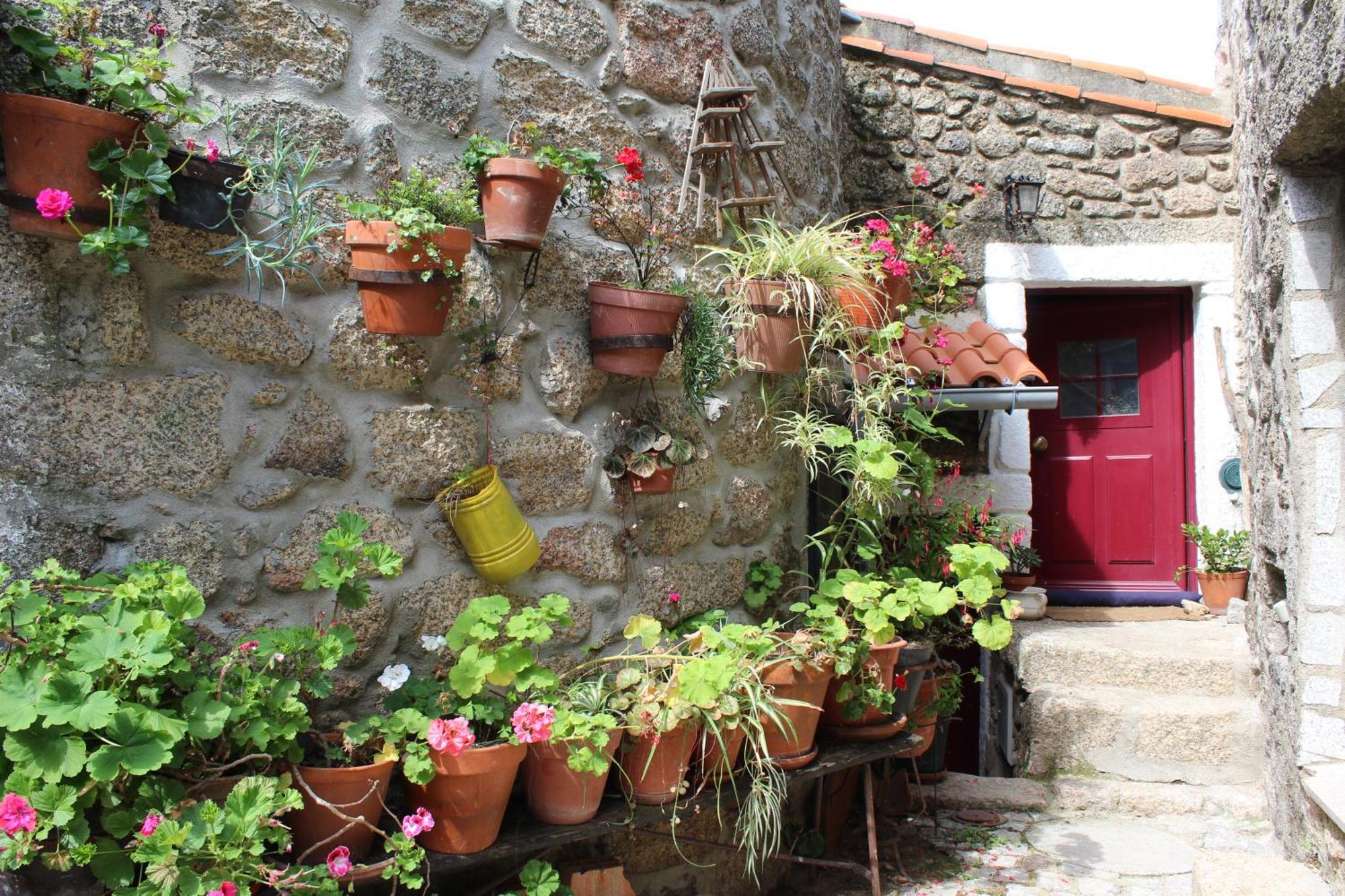 Lugar Sao Salvador De Holiday home