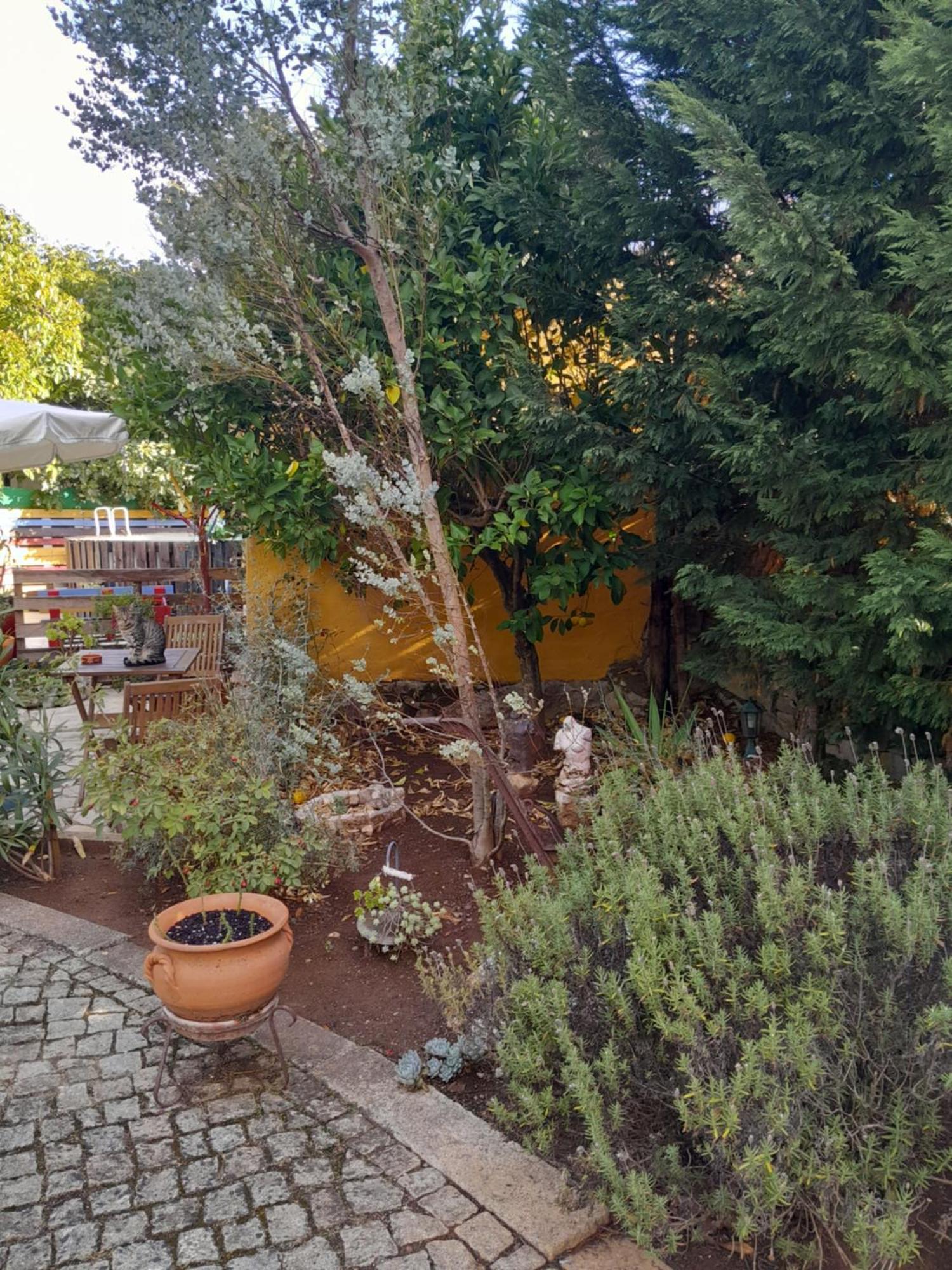 Refugio Artes Porto de Mós