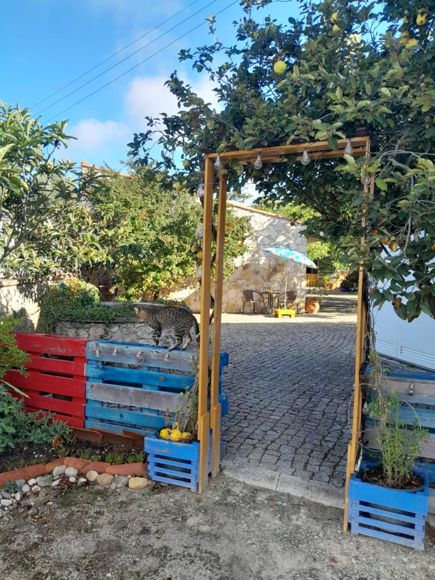 Bed and breakfast Refúgio Artes 3*