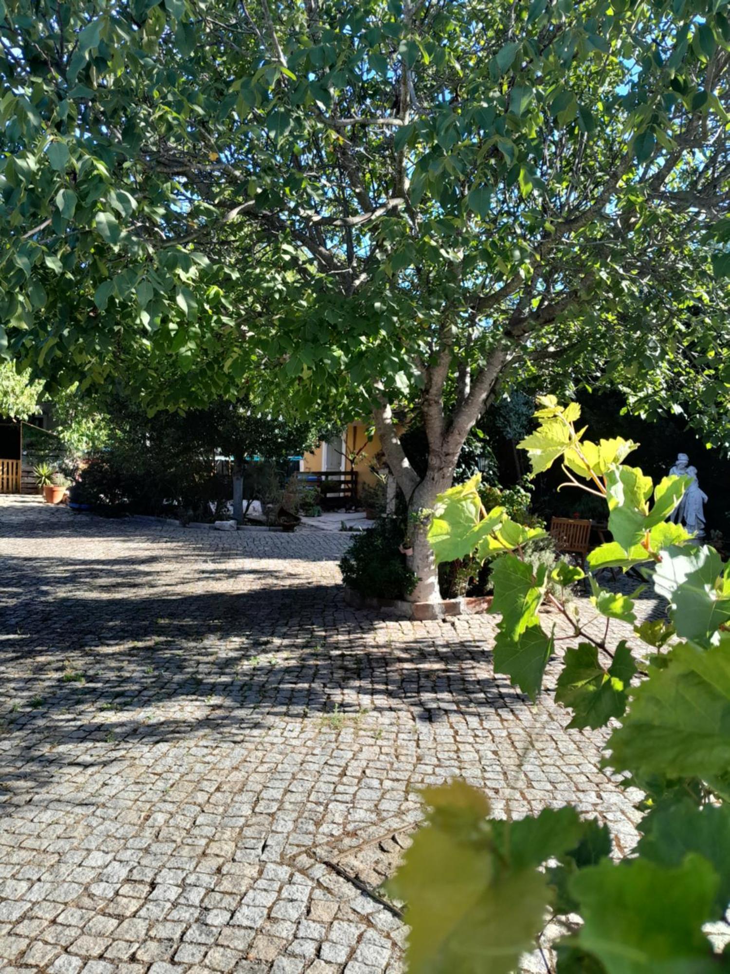 Refúgio Artes 3* Porto de Mós