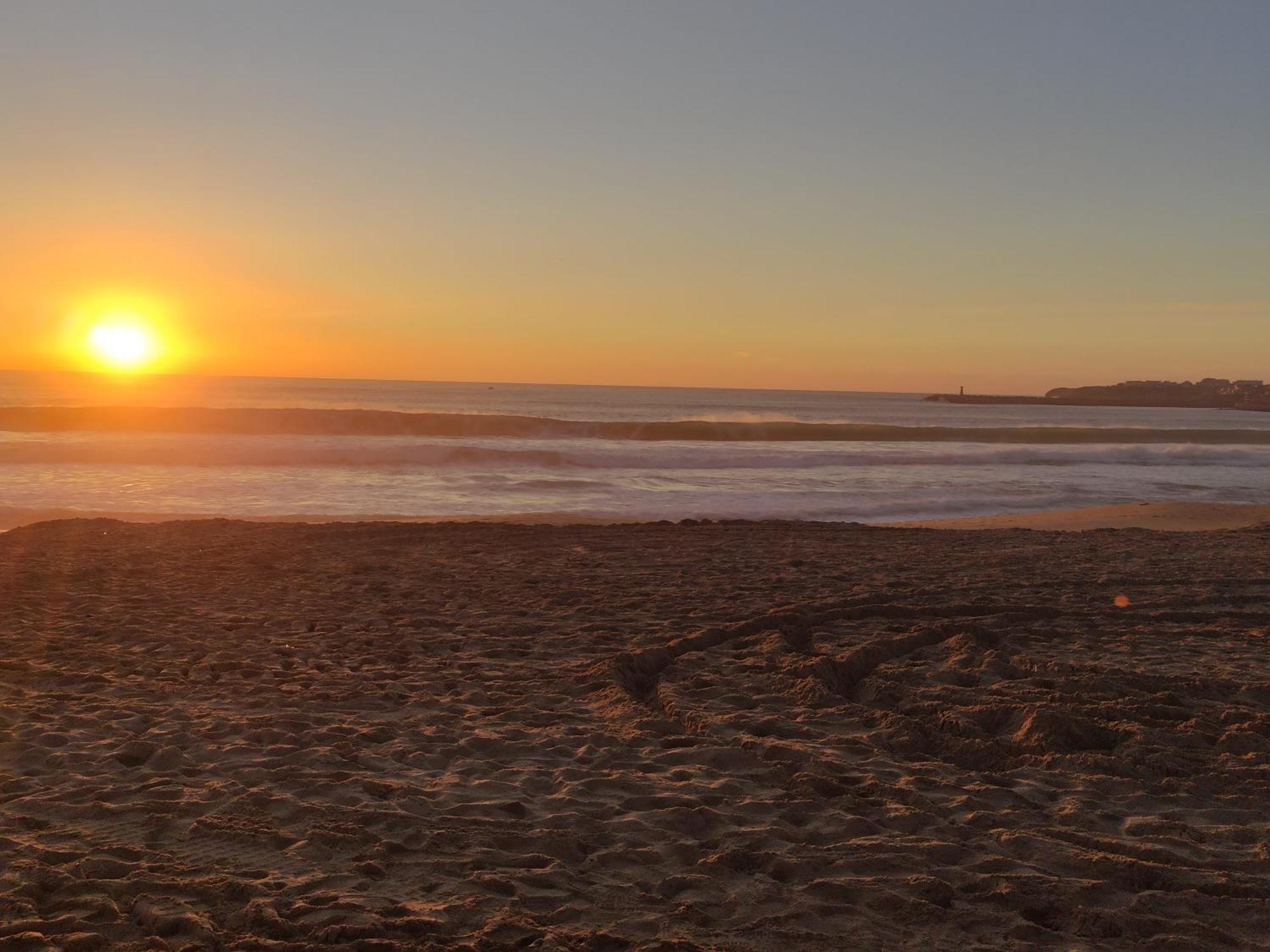 D Wan Deluxe Baleal