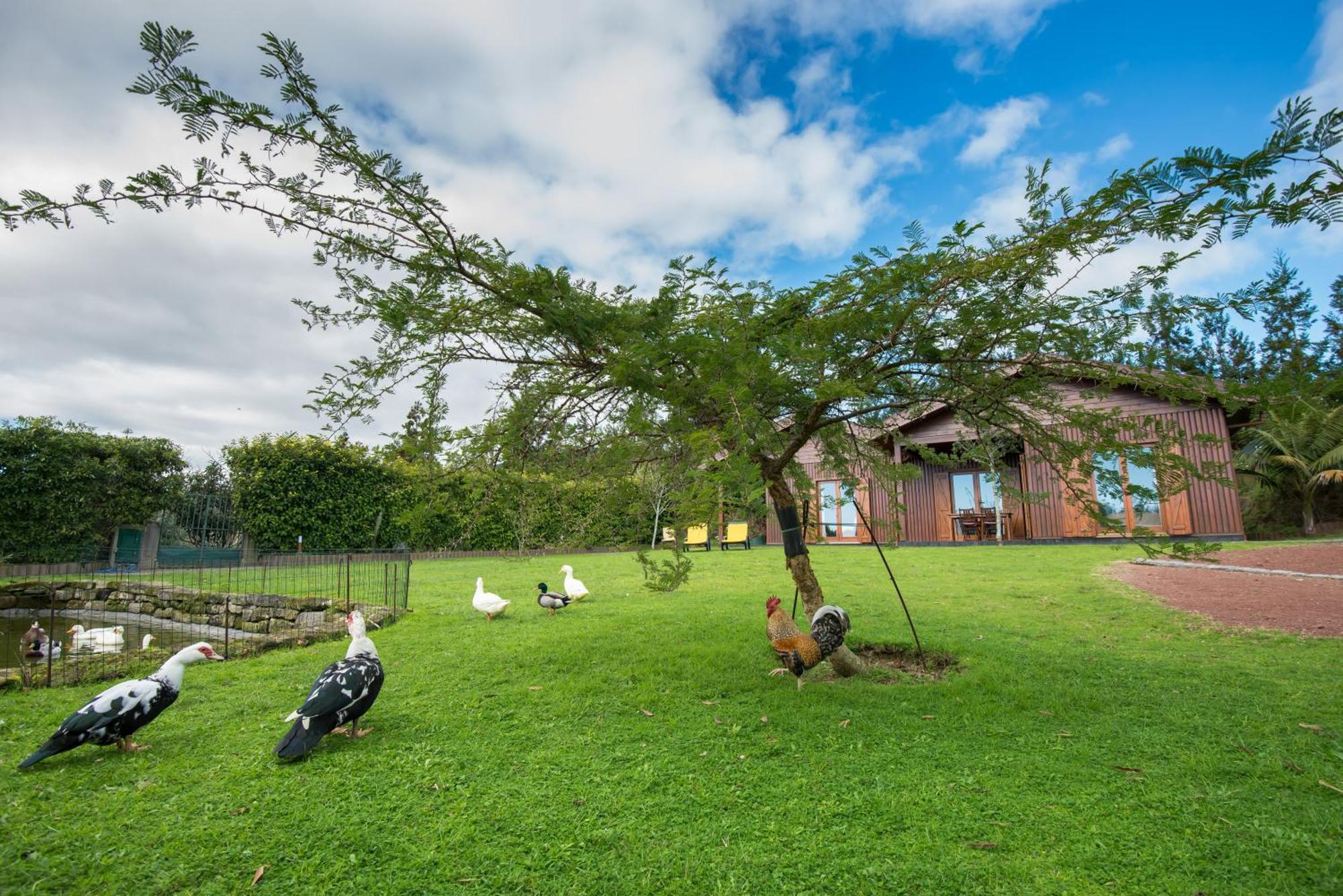 Quinta Dos Curubas Estadia no rancho