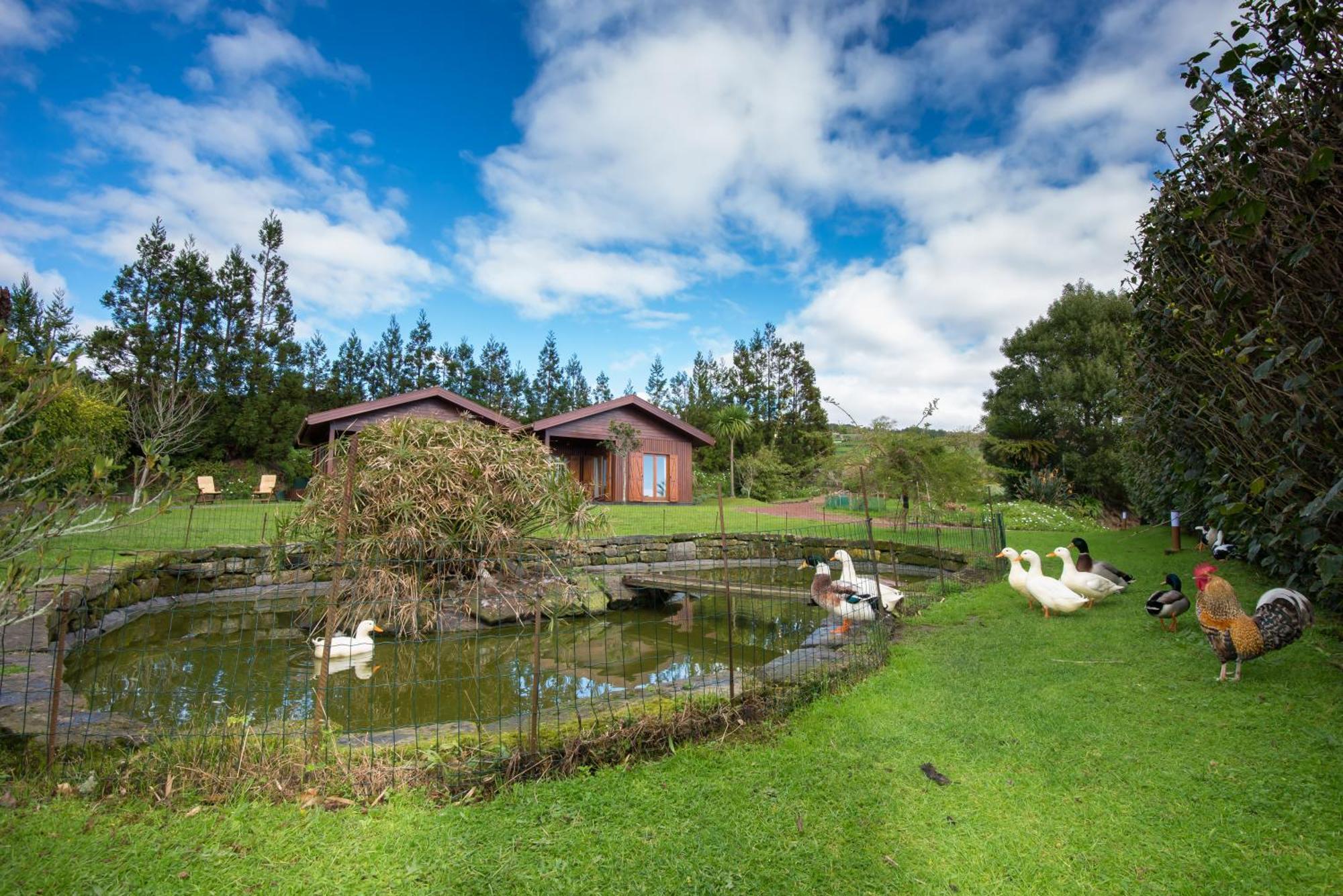 Quinta Dos Curubas Vakantieboerderij Vila Franca do Campo