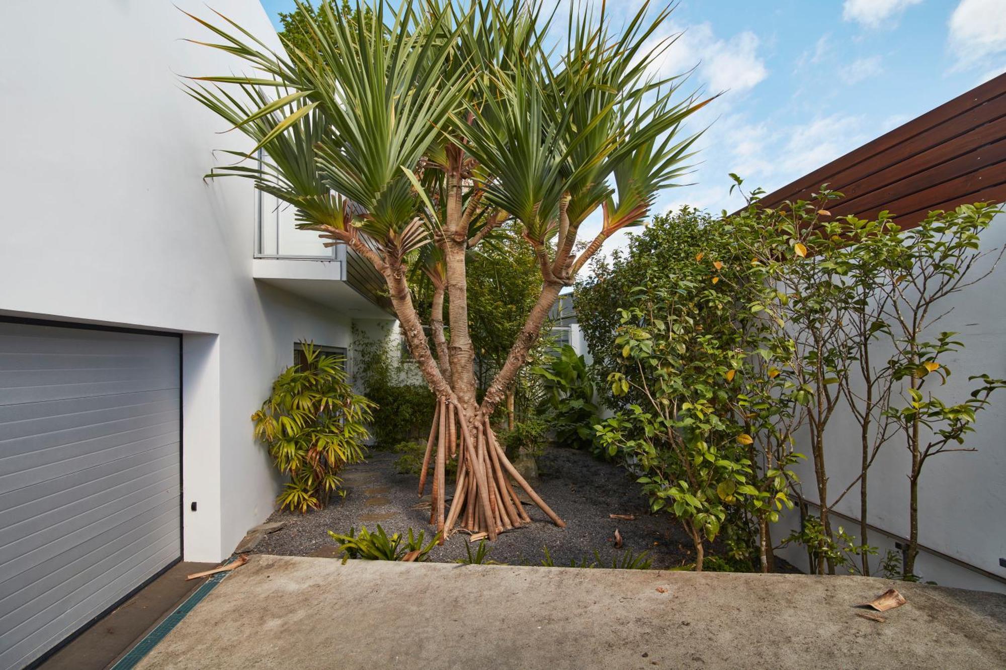 Luxury House Sao Roque (Sao Miguel)