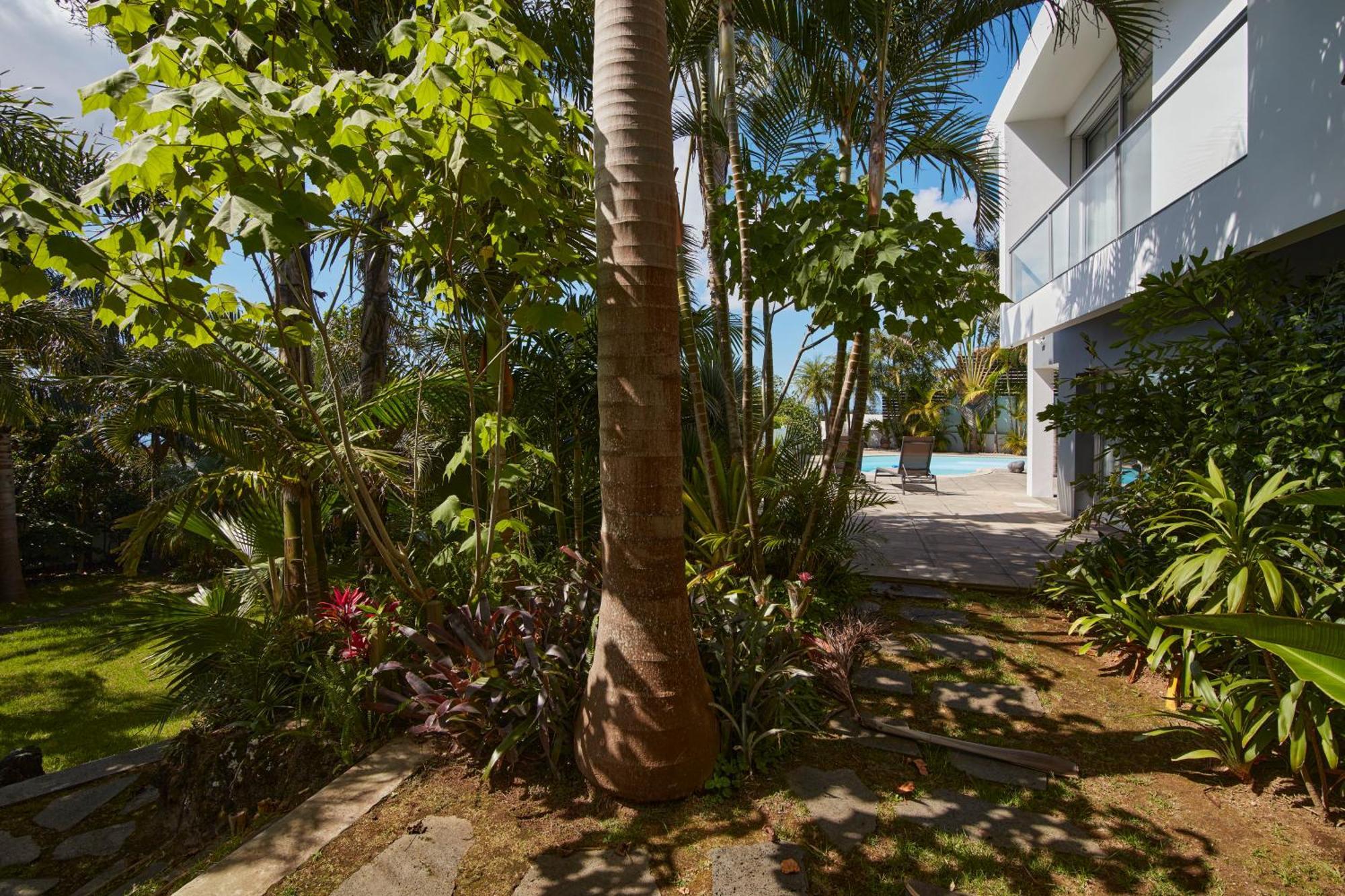 Luxury House