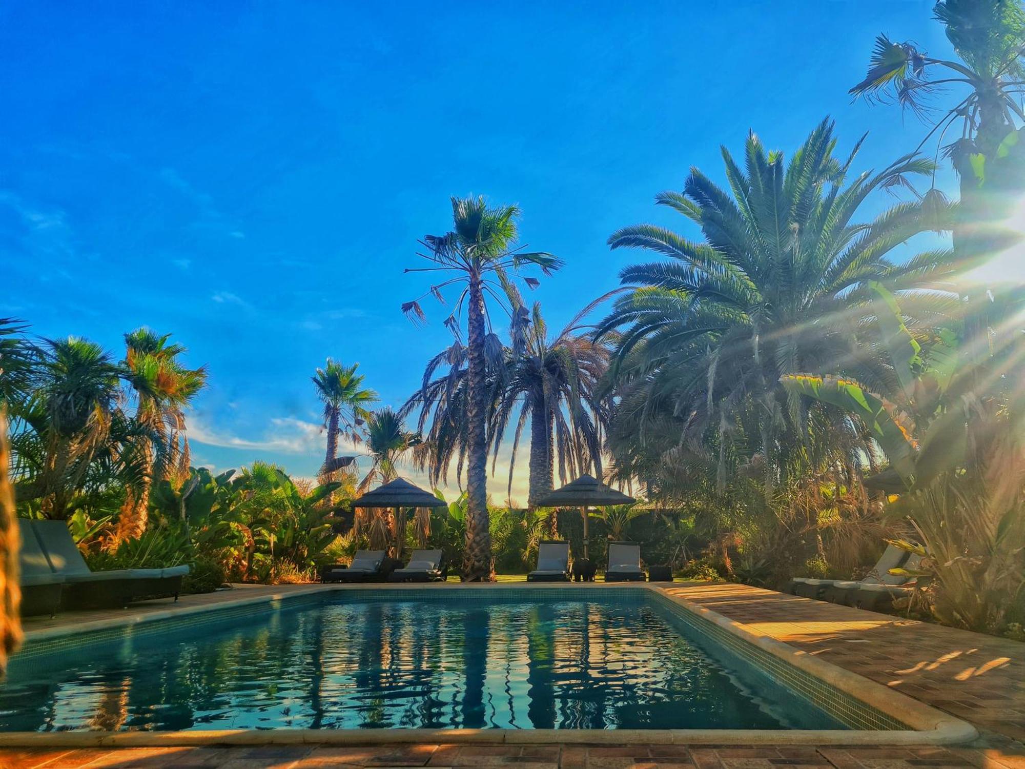 Villa Paraiso - Naturism Optional Adults Only Bed & Breakfast