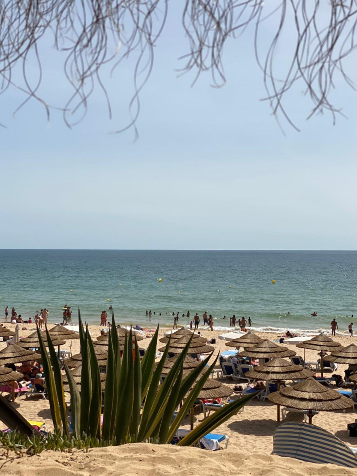 Apartment Vip Albufeira