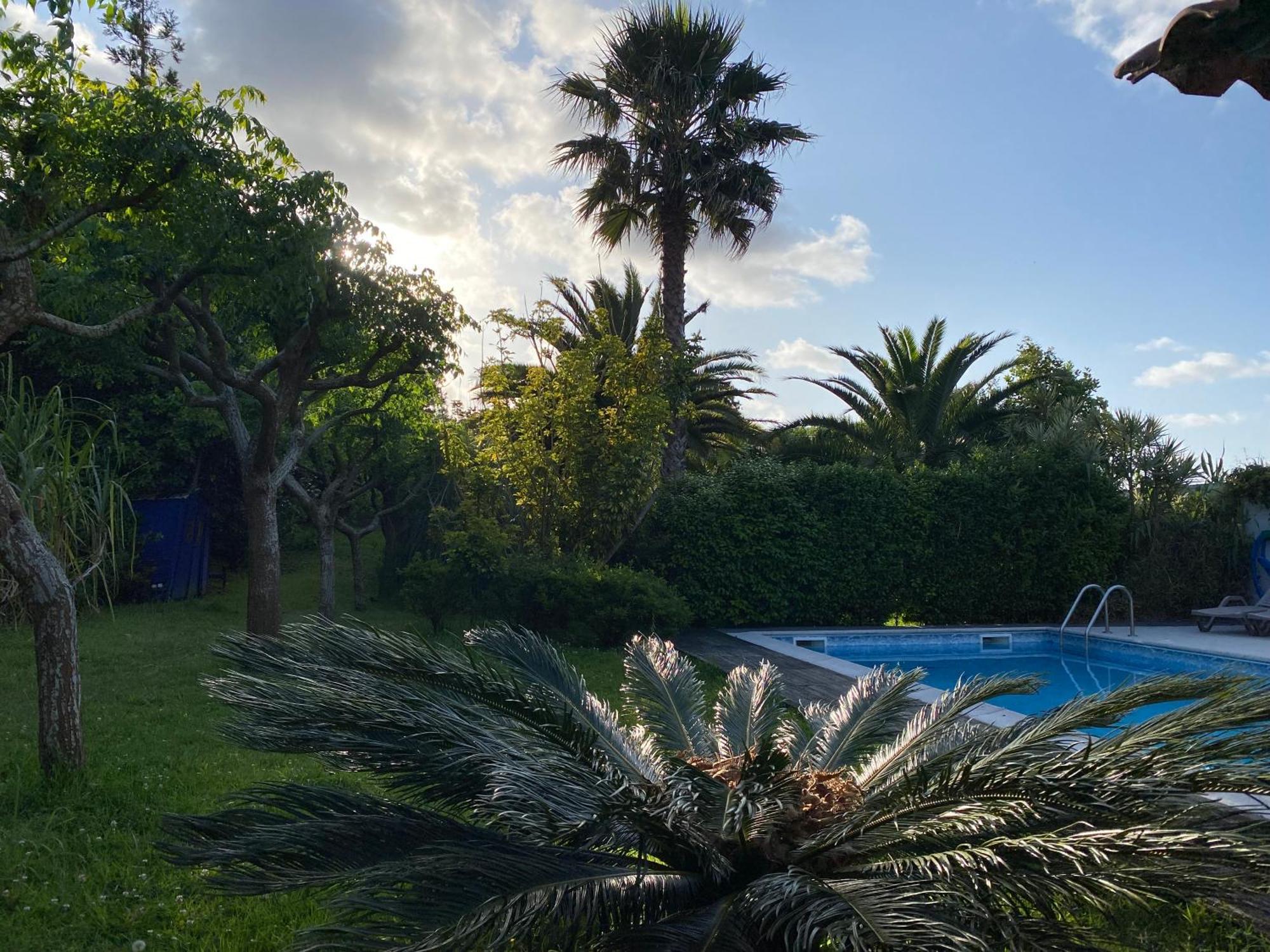Guest house Quinta Dos Bravos Pico da Pedra