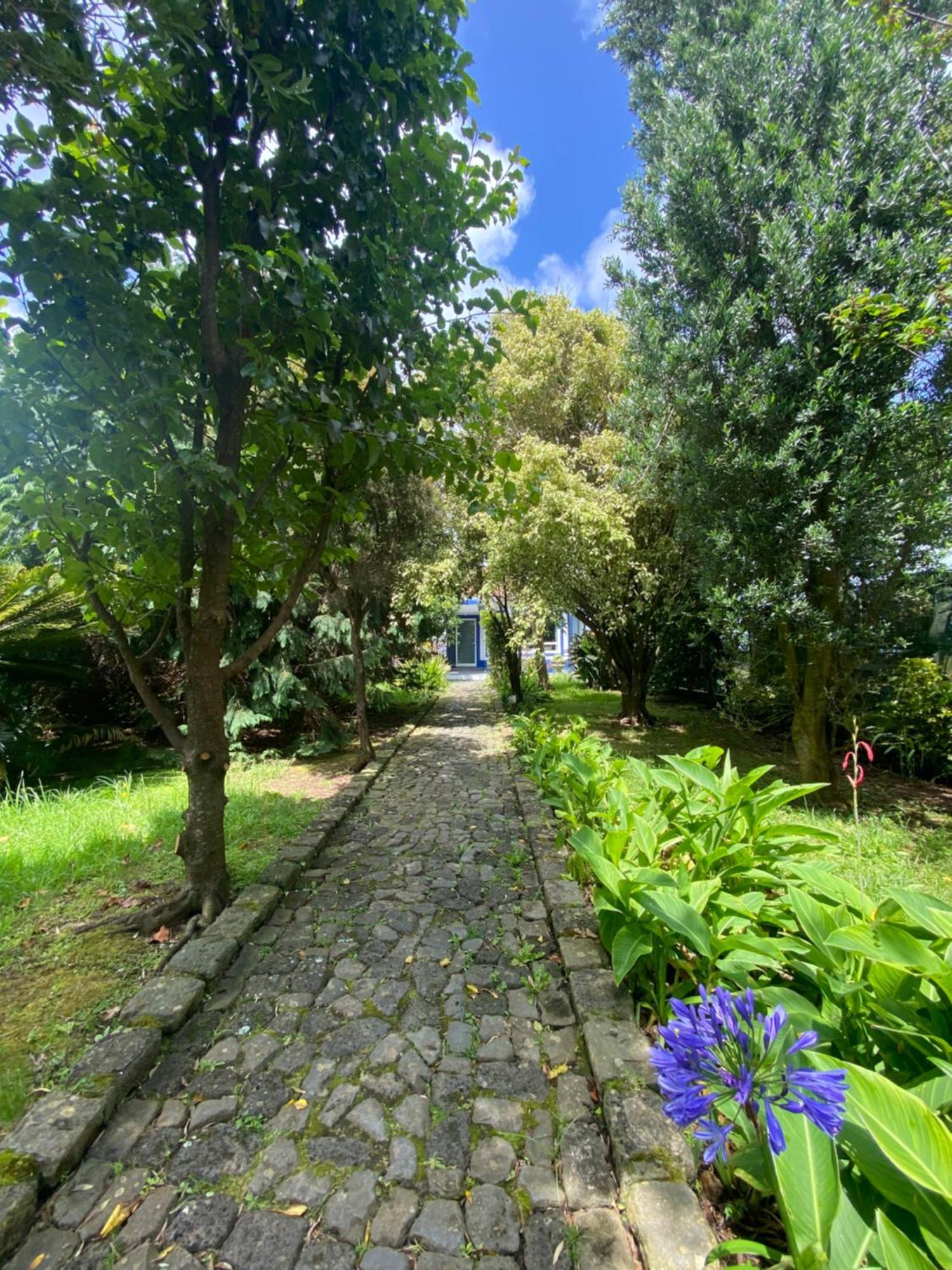 Guest house Quinta Dos Bravos