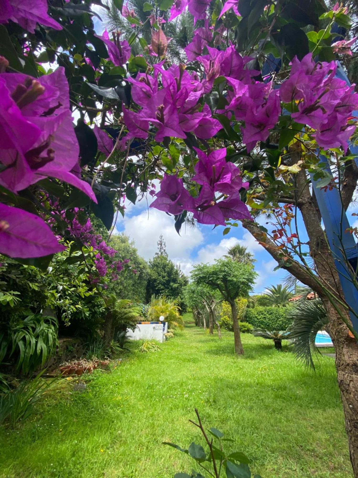 Guest house Quinta Dos Bravos