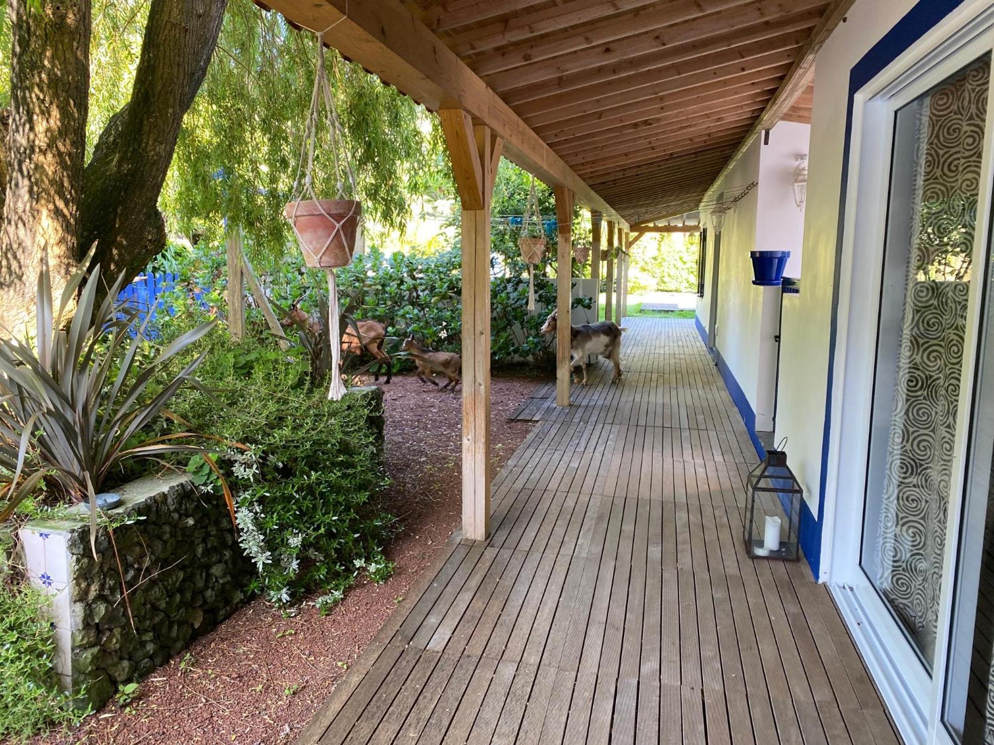 Quinta Dos Bravos Guest house 3*