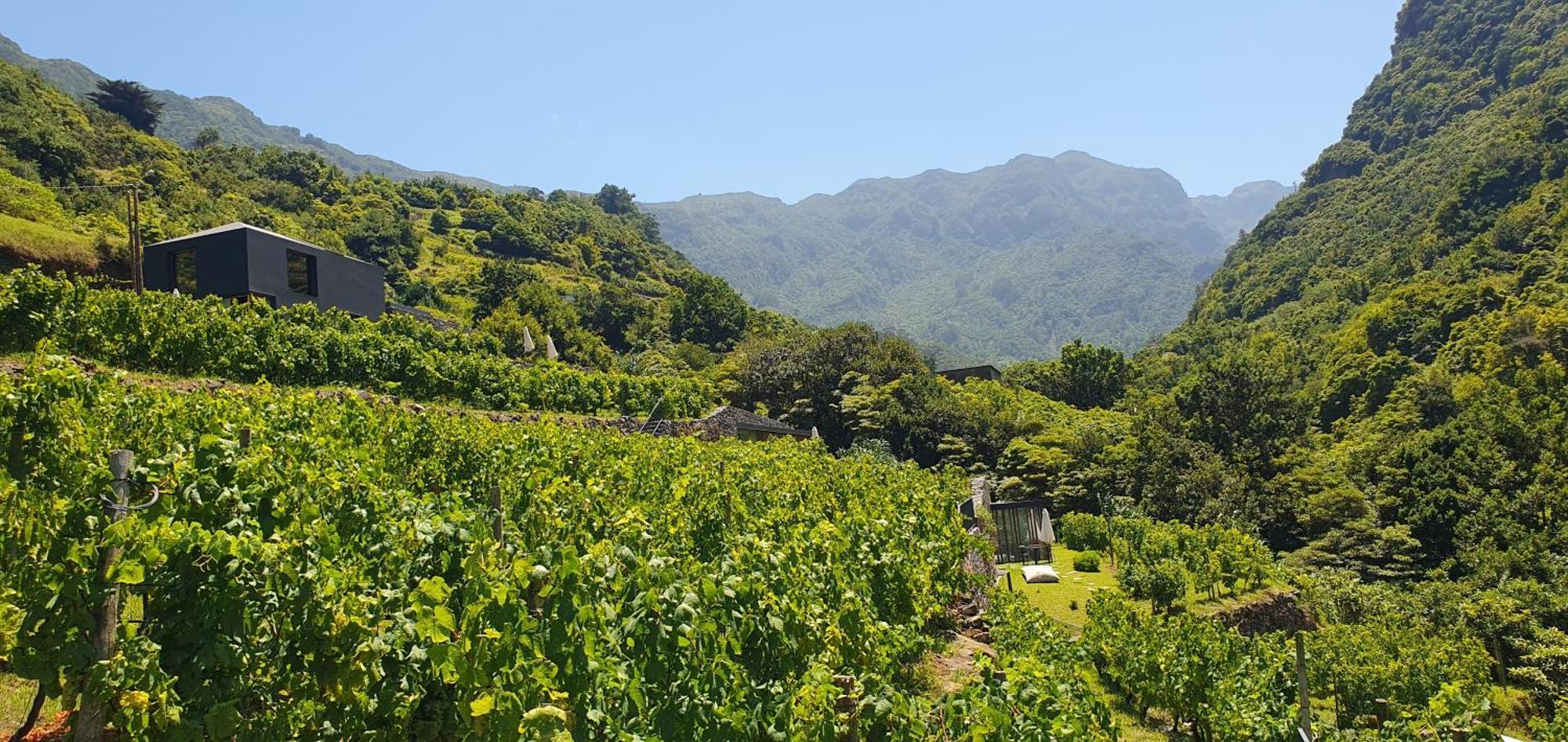 Terrabona Nature & Vineyards *