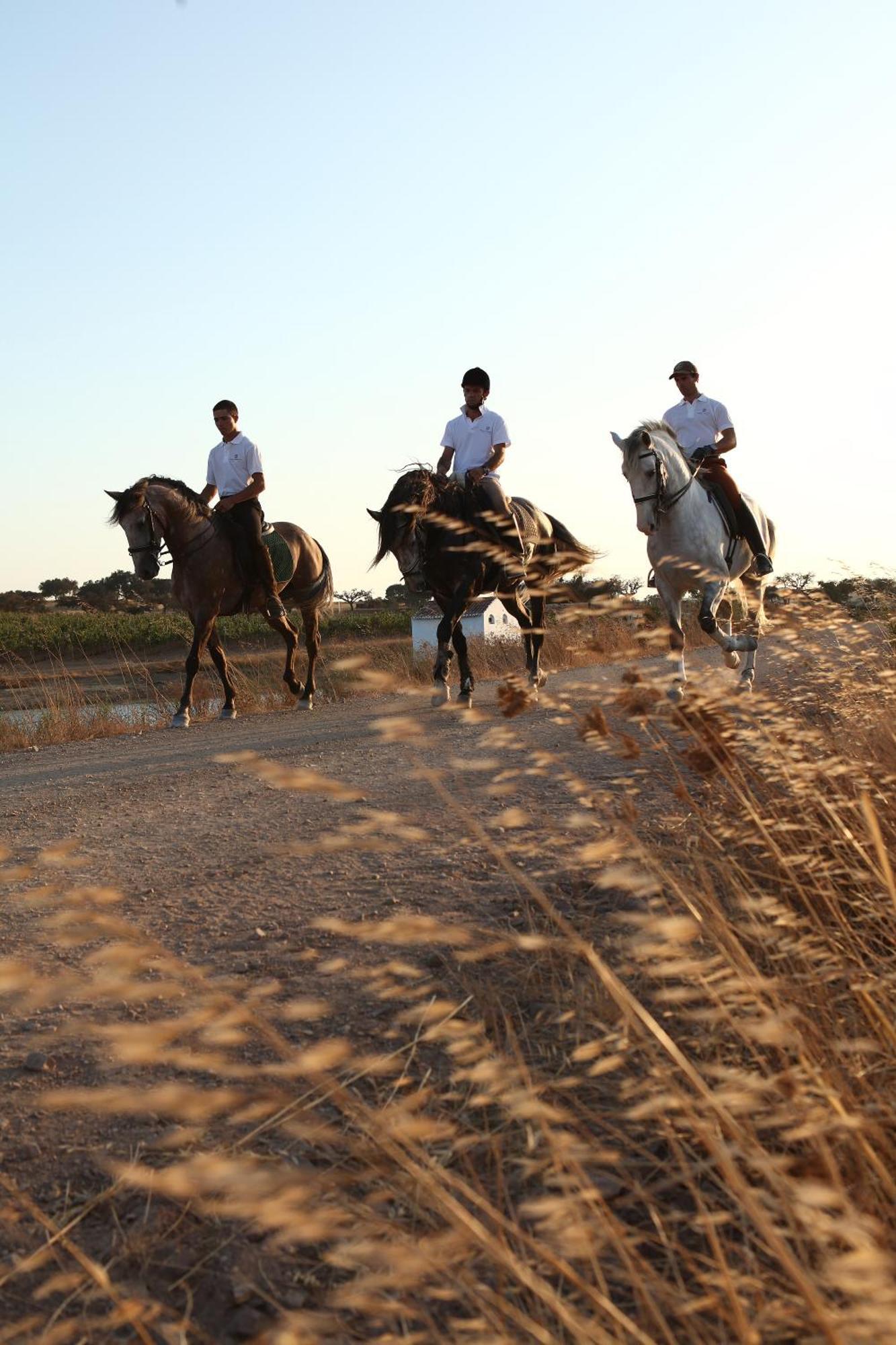 Herdade Da Malhadinha Nova - Relais & Chateaux 5*