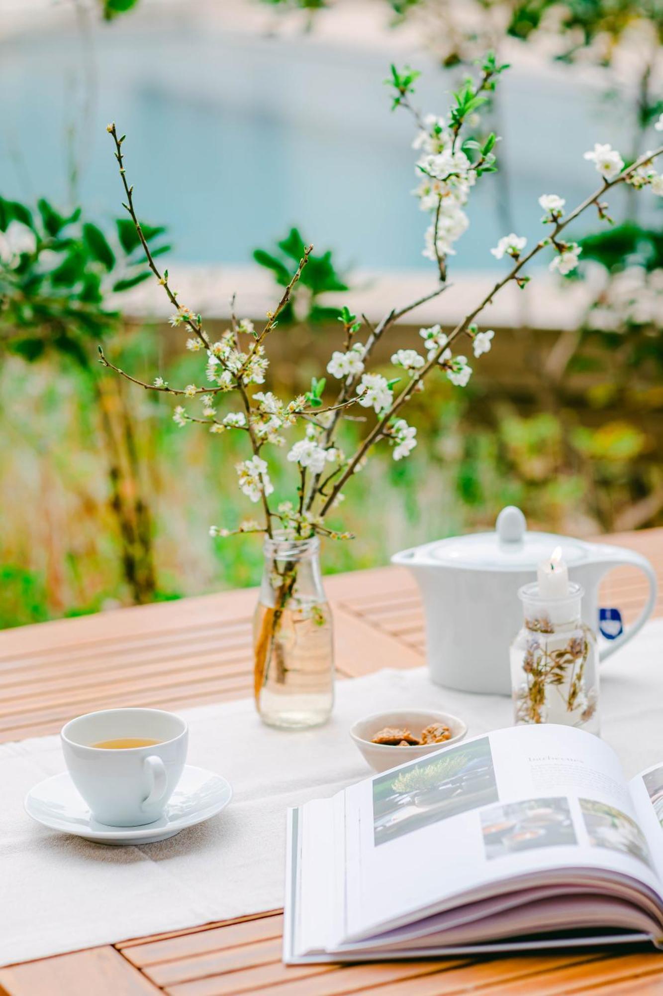 Hotel The Nest By Cooking And Nature 4*
