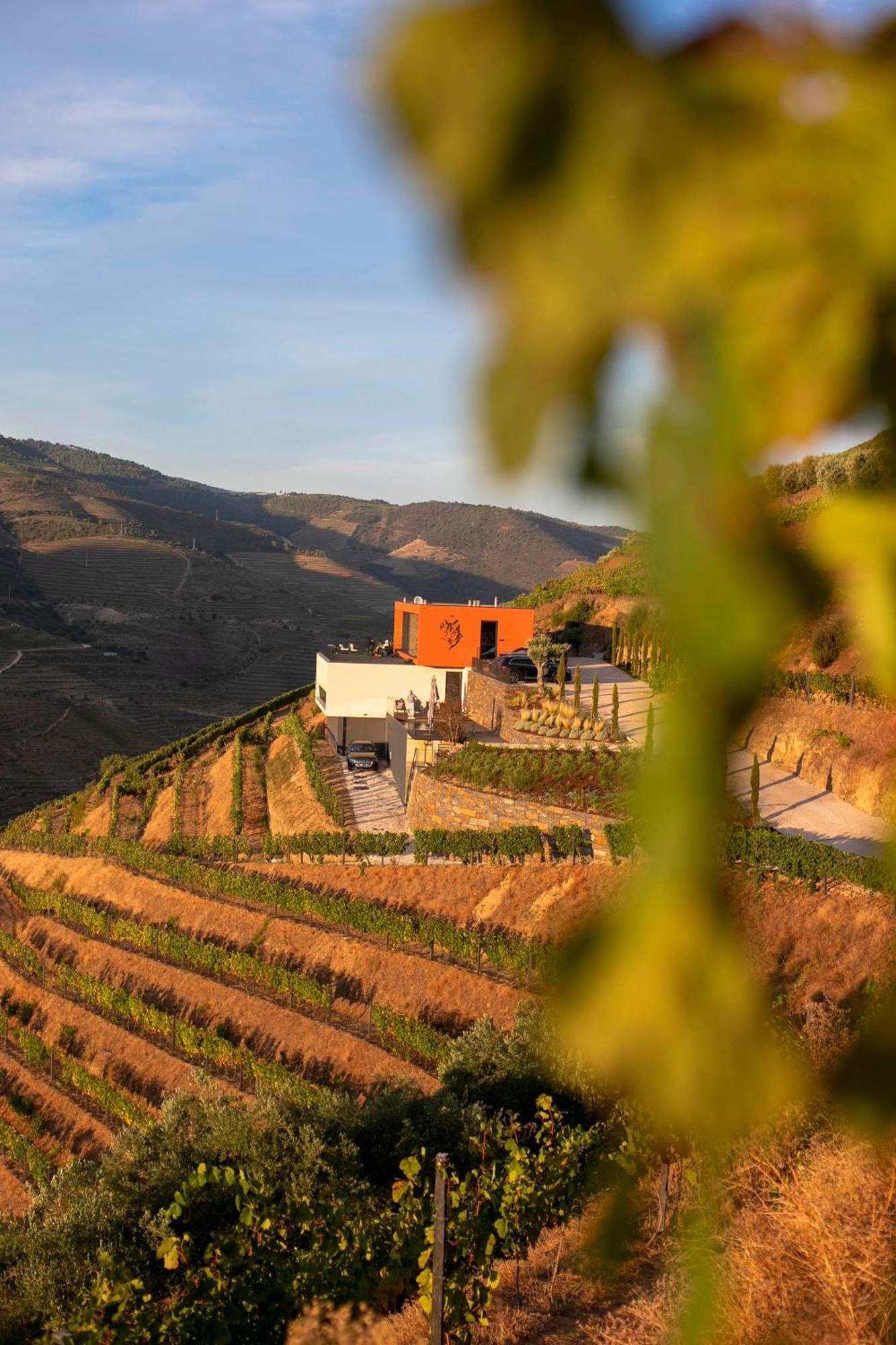 Quinta Vale De Lobos Douro Bed and breakfast