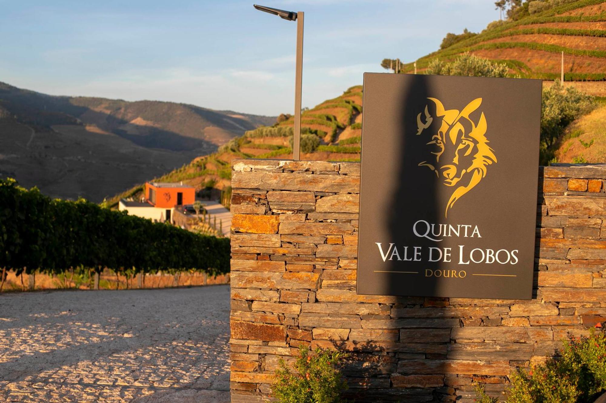 Quinta Vale De Lobos Douro Folgosa (Armamar)