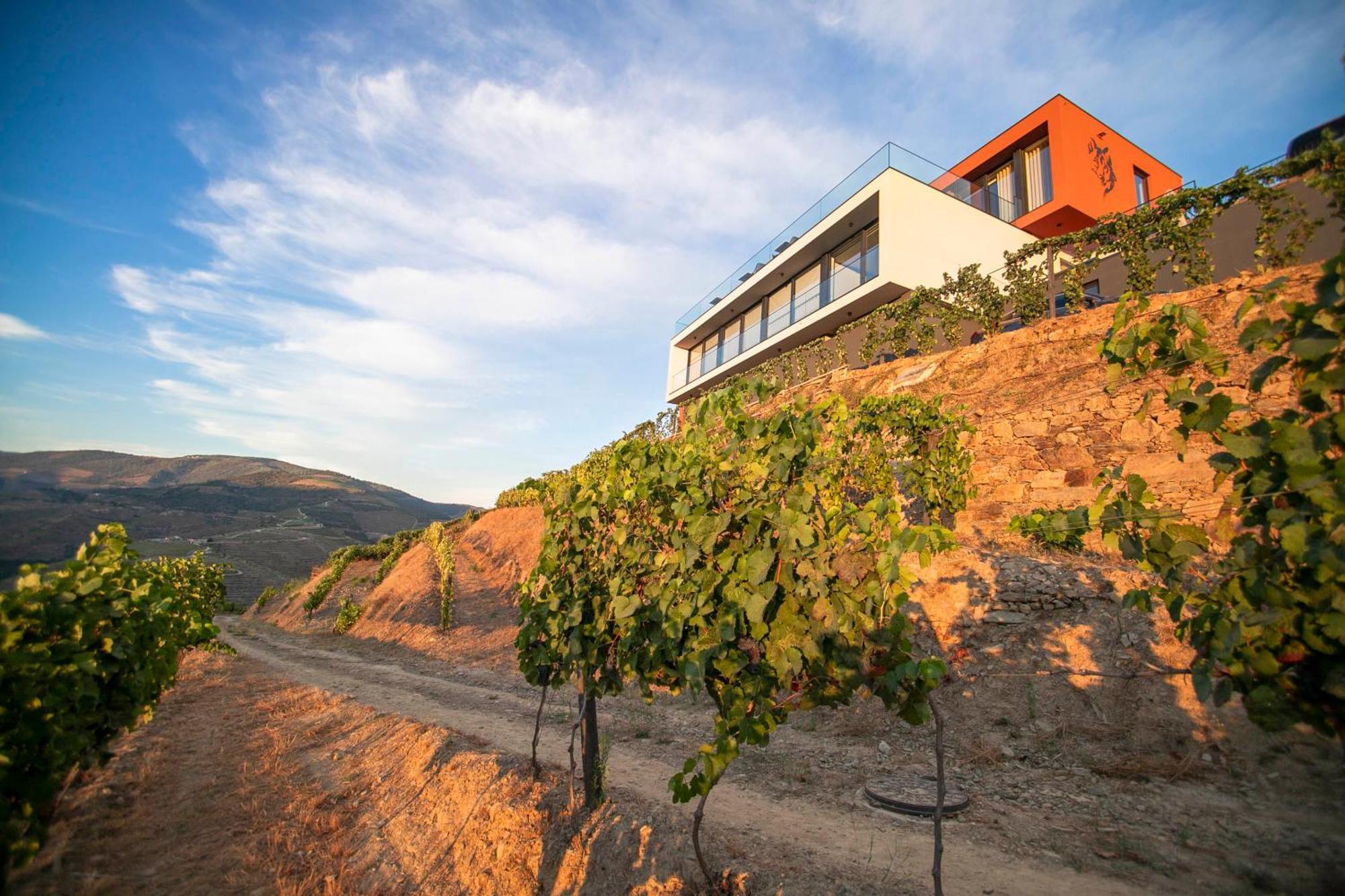 Quinta Vale De Lobos Douro * Folgosa (Armamar)
