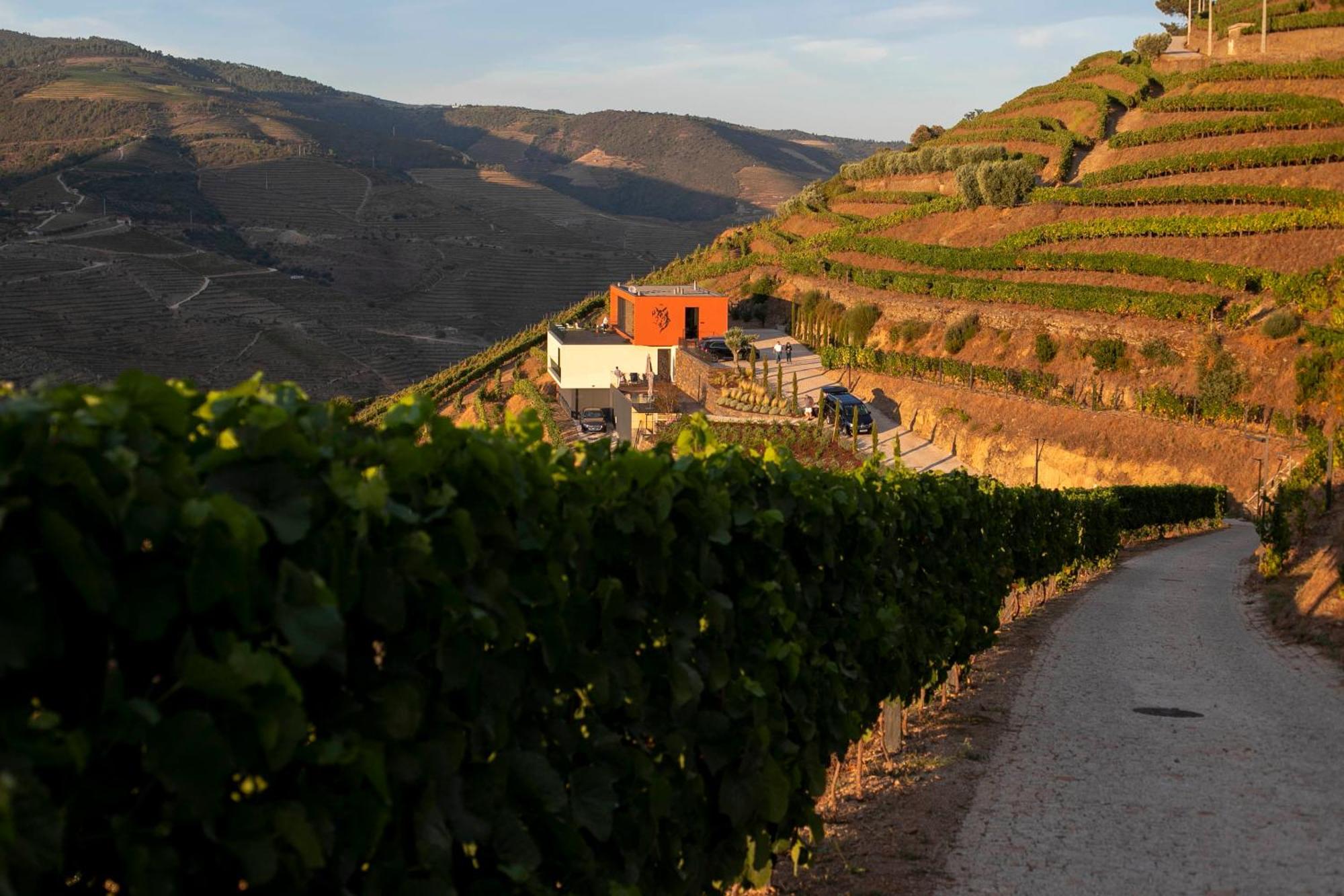 Quinta Vale De Lobos Douro *