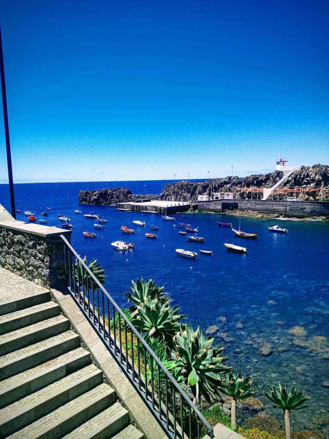Cantinho Da Te Camara de Lobos