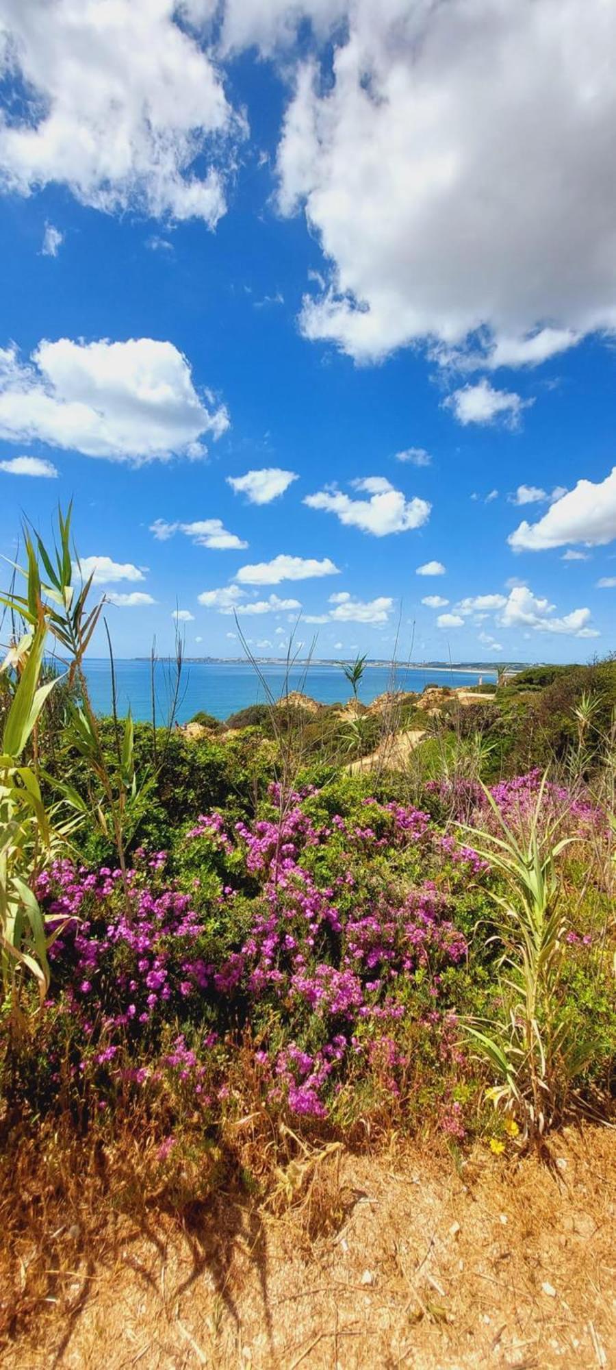 Prainha Sunset Apartment Alvor