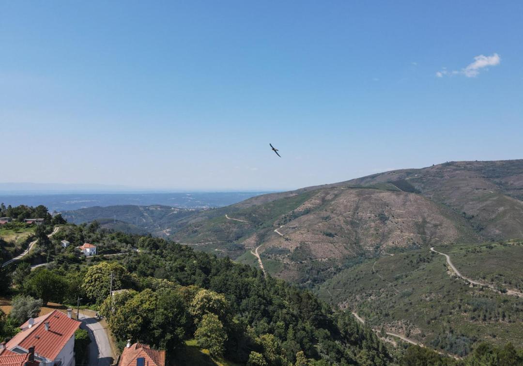 Holiday home Casa Da Avo Emilia Arganil