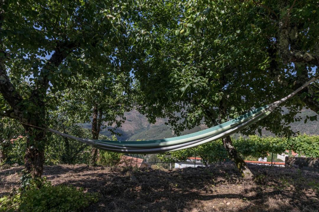 Casa Da Avo Emilia Holiday home *