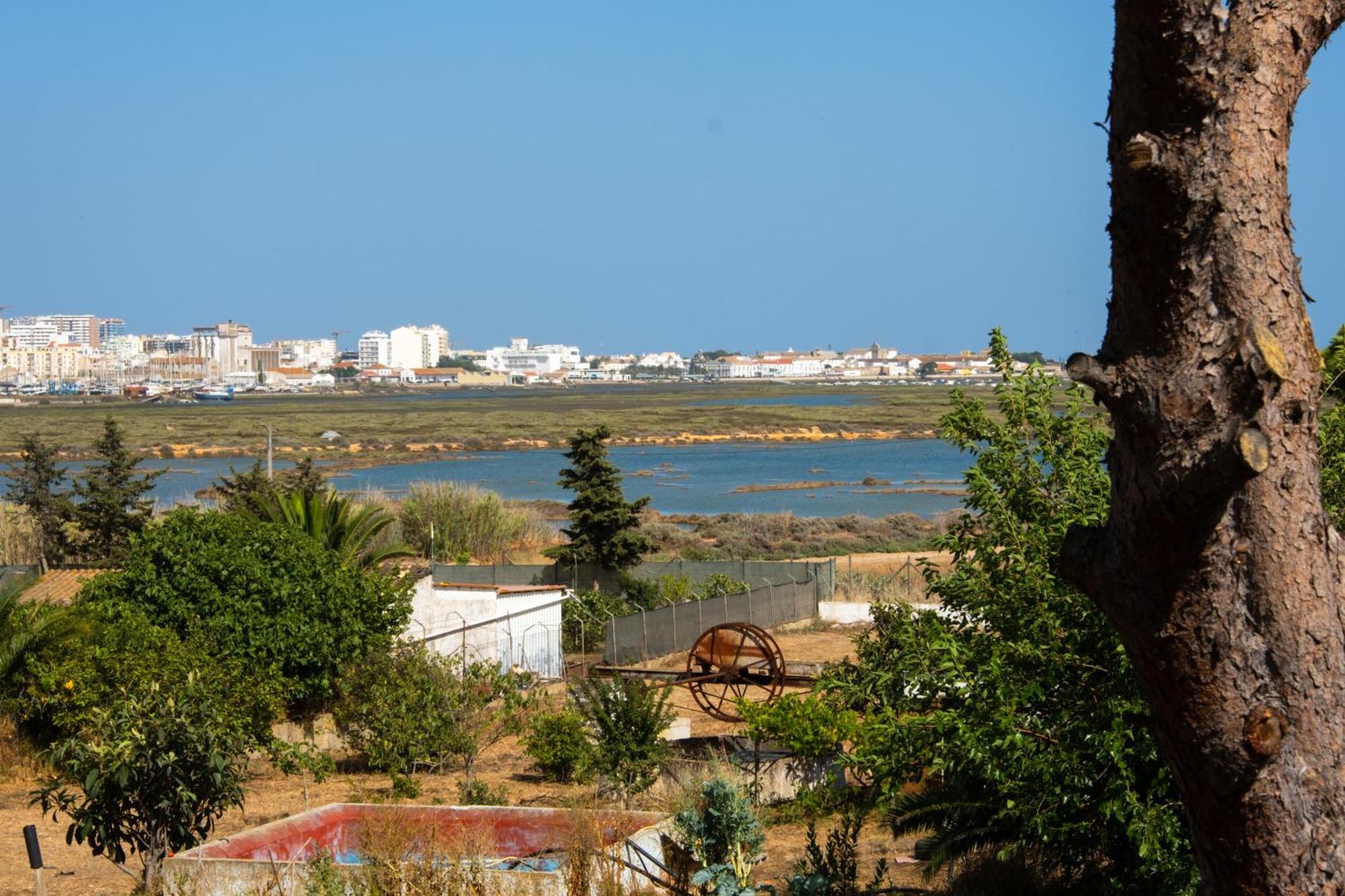 Guest house Ria Formosa *