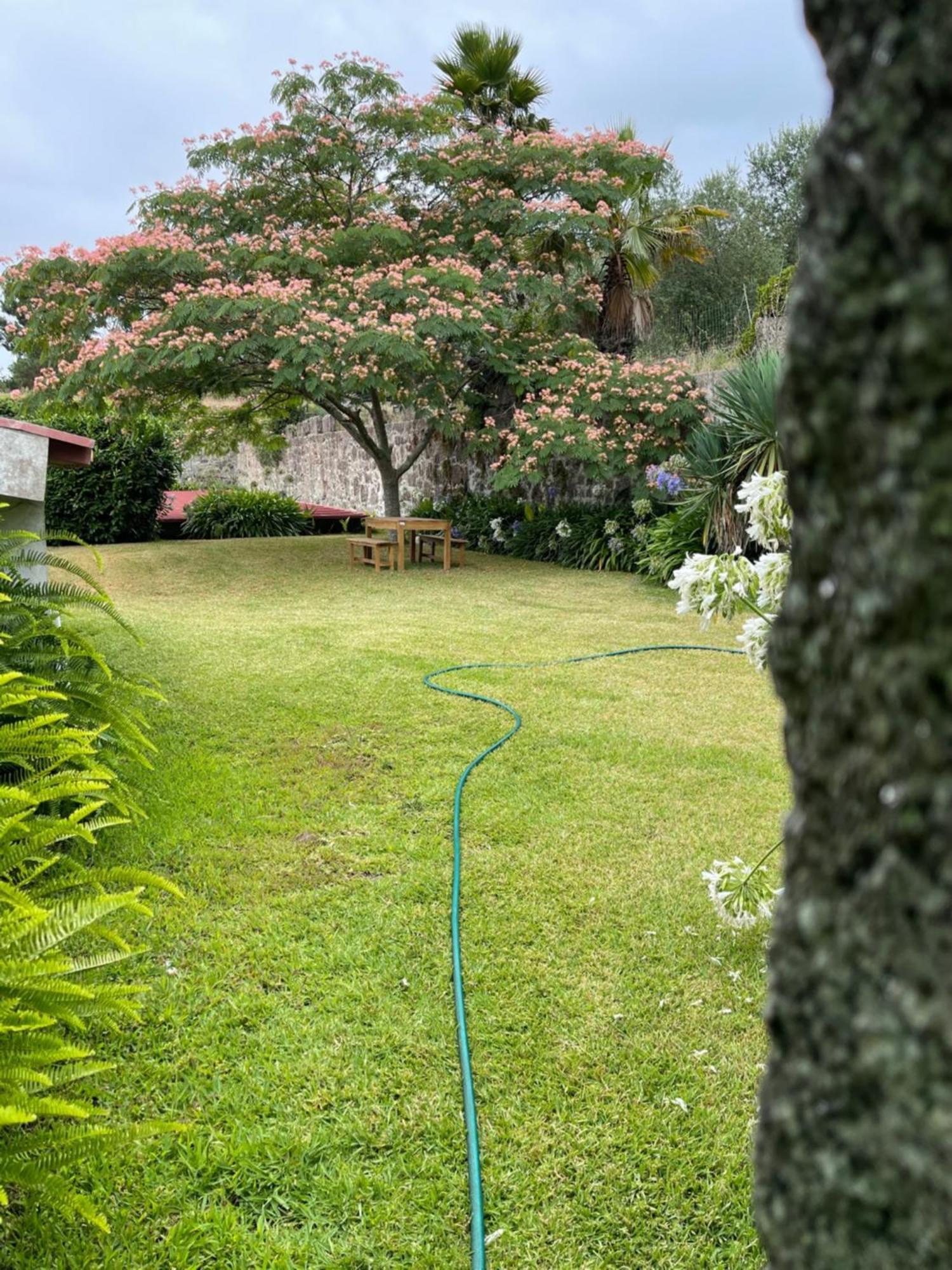 Farm stay Quinta Da Fonte -