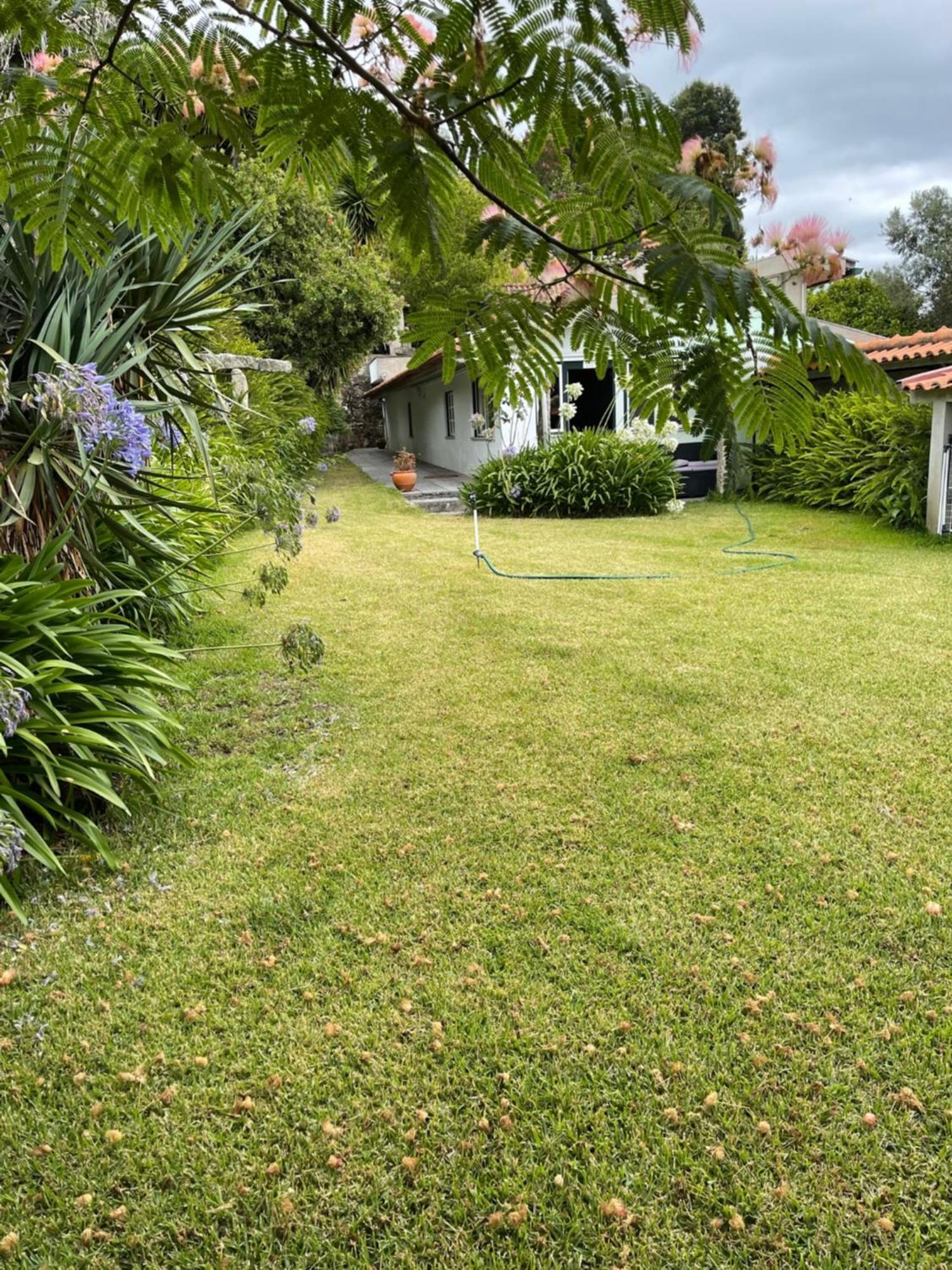 Quinta Da Fonte - Farm stay *