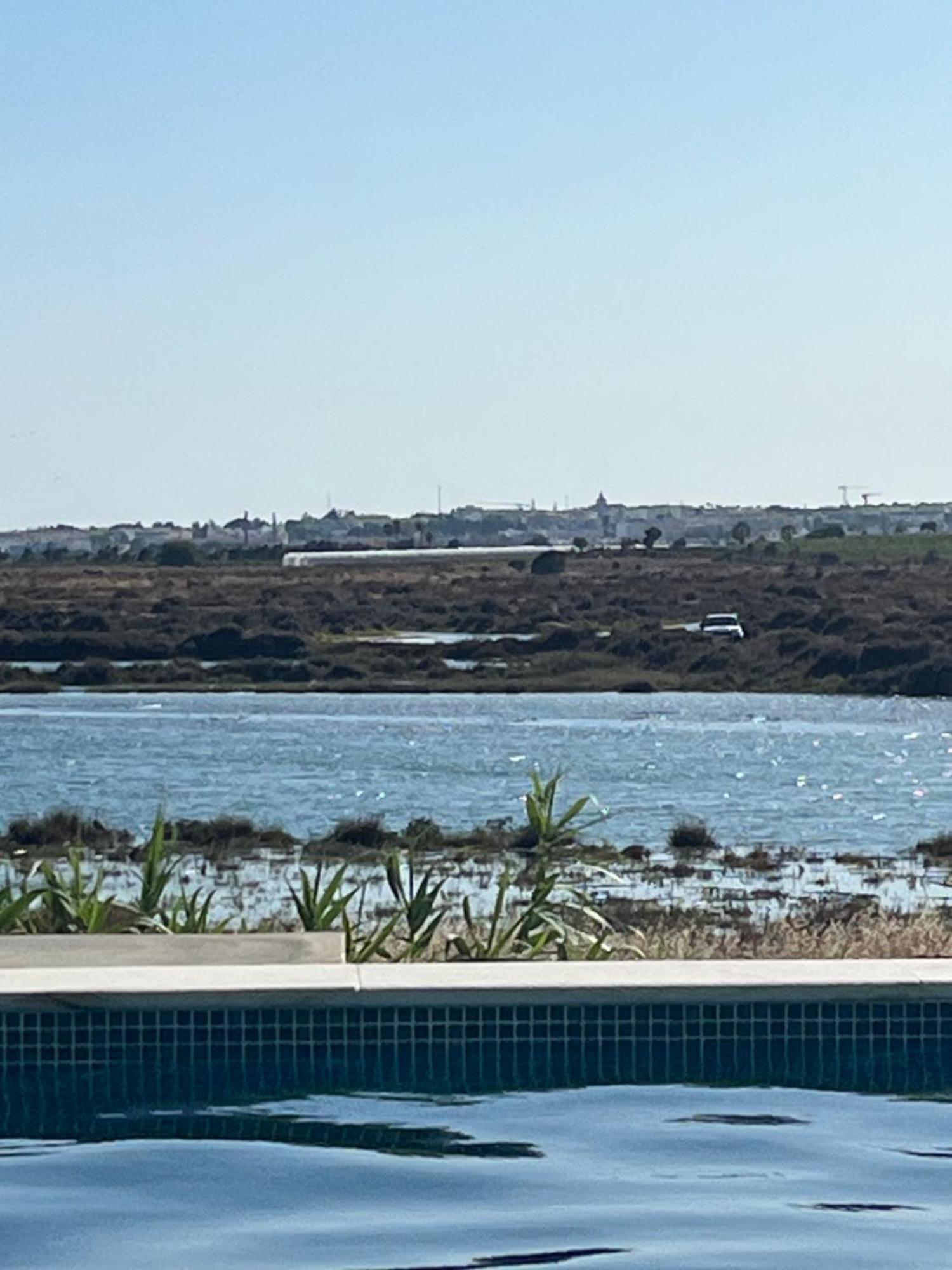 Jardim & Ria Holiday home
