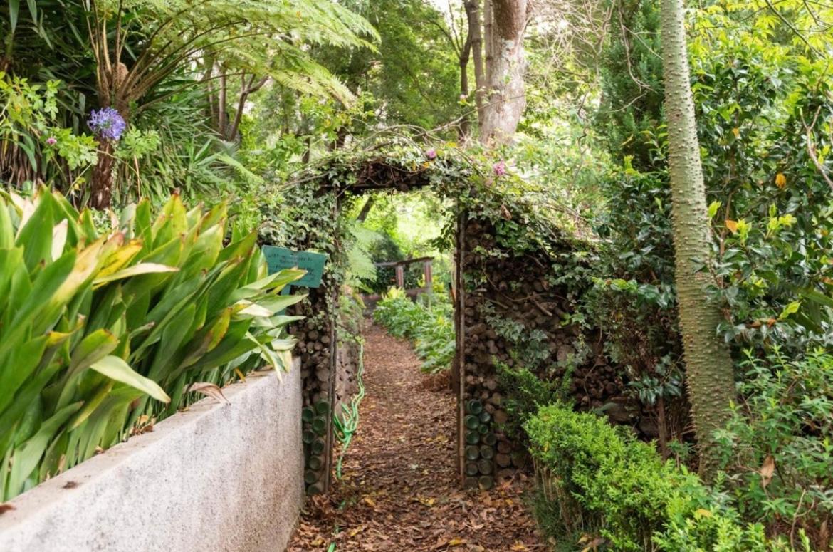 Quinta Belmonte With Private Heated Pool In Villa Funchal (Madeira)