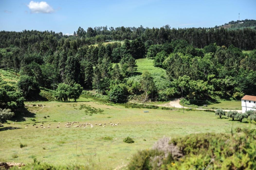 Vumba Holiday park