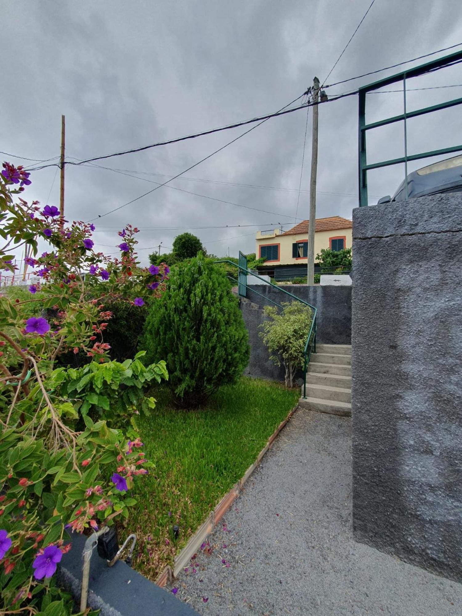 Casa Velha D Fernando E Casa Avo Augusta Casa de hóspedes Ribeira Brava