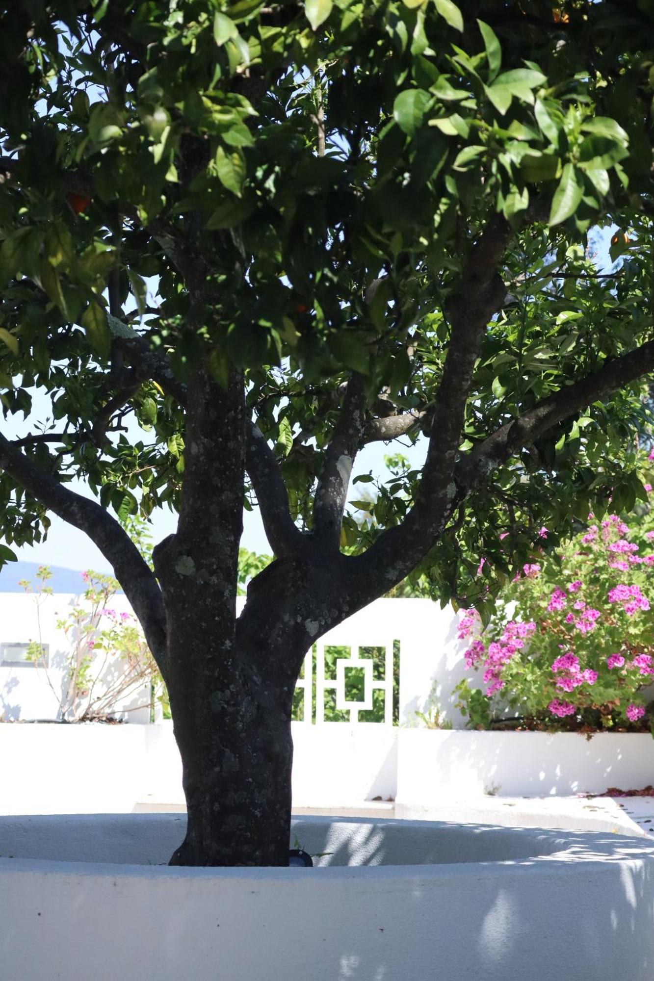 Hotel Aires Da Serra Torres Novas