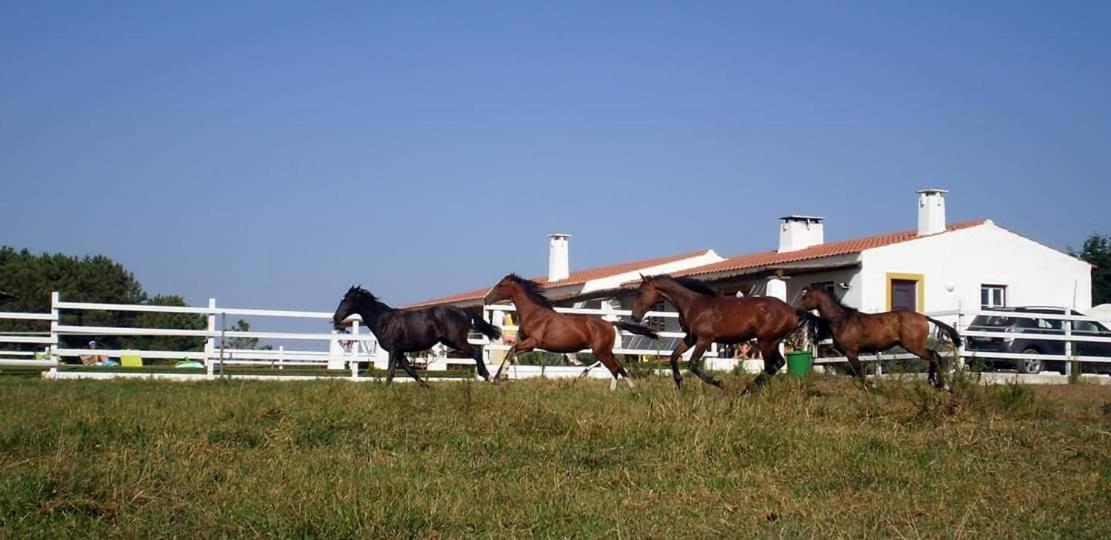 Farm stay Setequintas Zambujeira do Mar