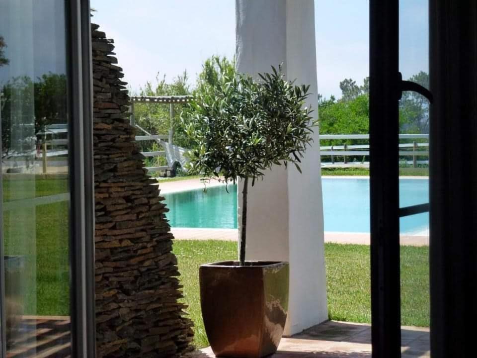 Setequintas Farm stay
