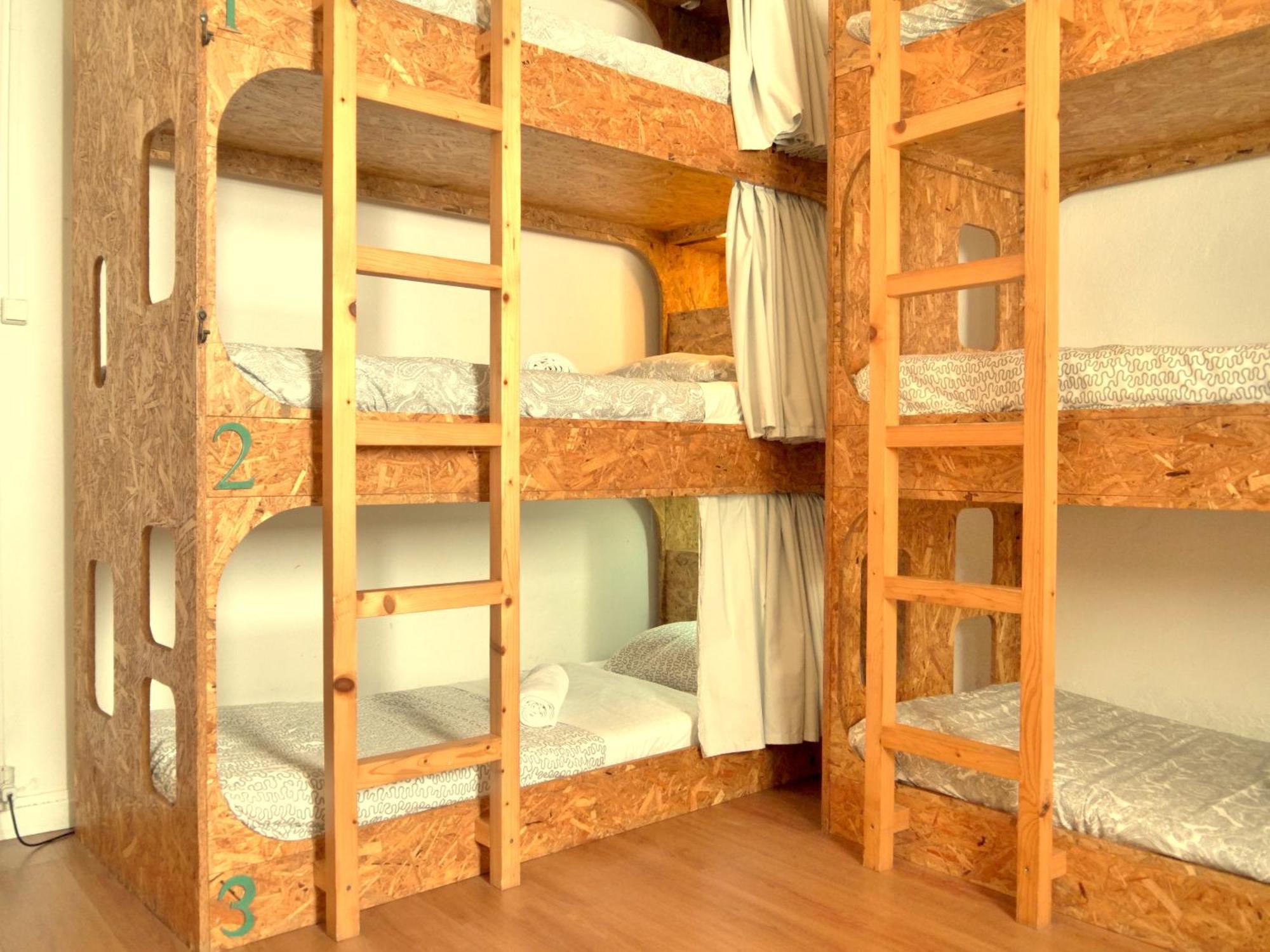 Hostel Olive3