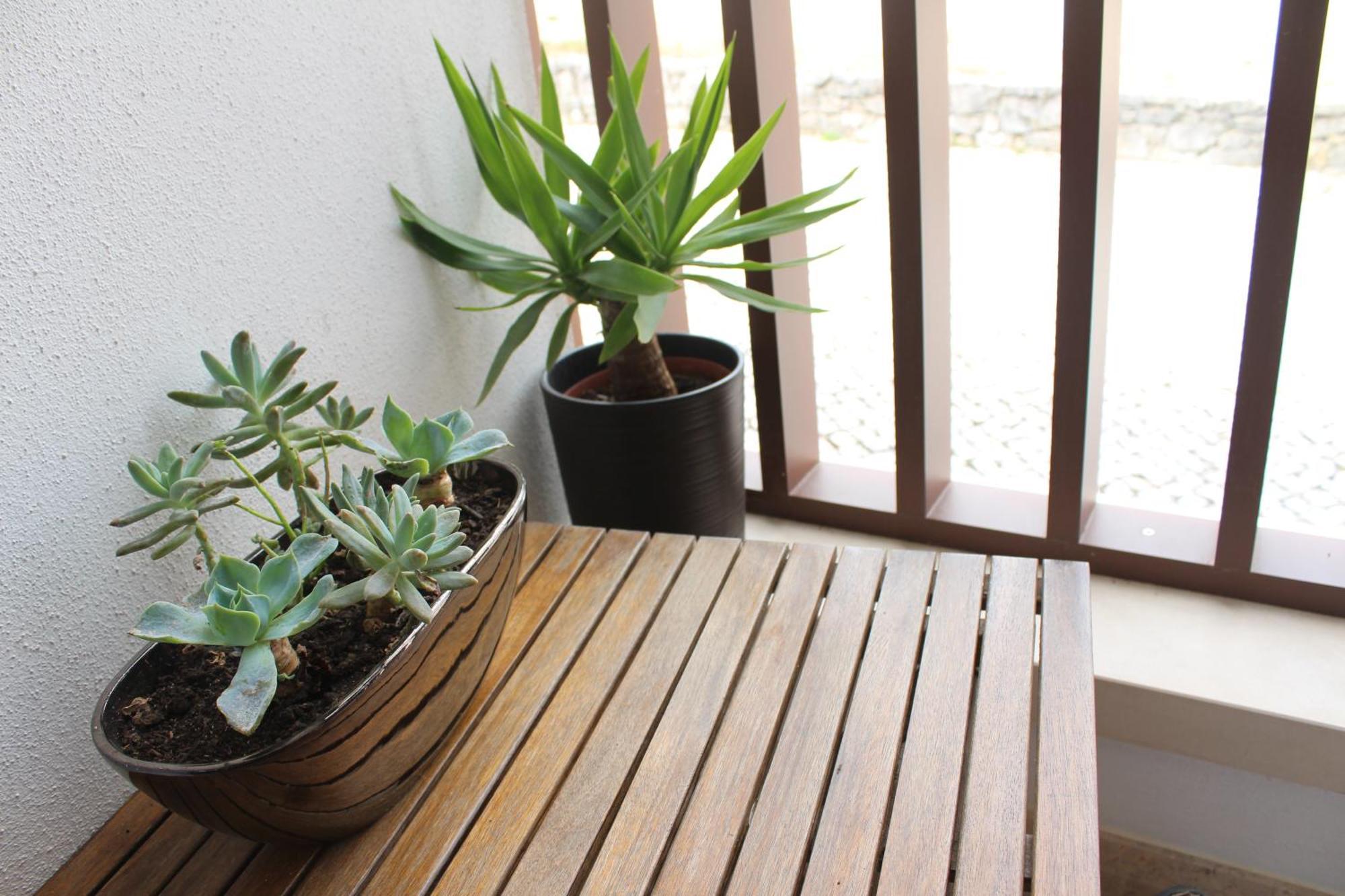 Rito Hall Da Serra Guest house Leiria
