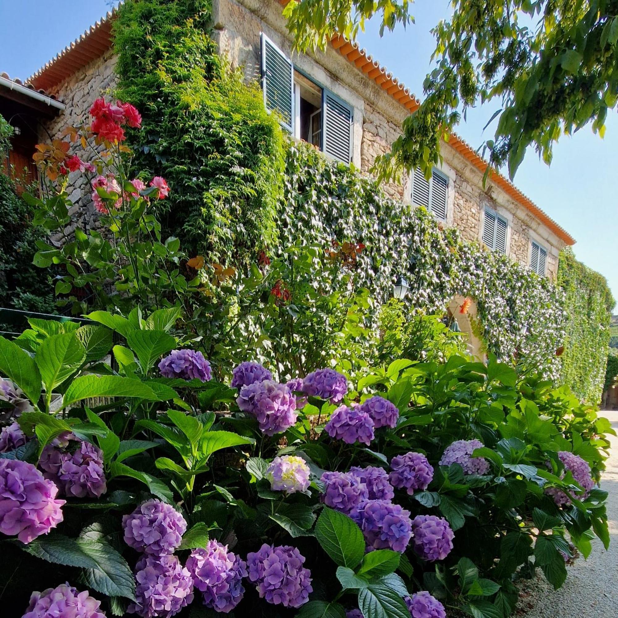 Casa De Sao Miguel Douro Guest house