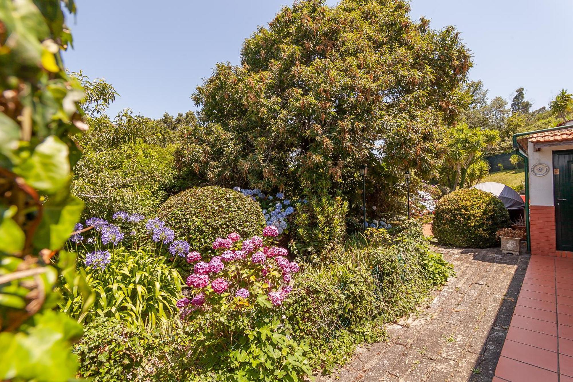 Vale Da Silva - Homes Holiday home
