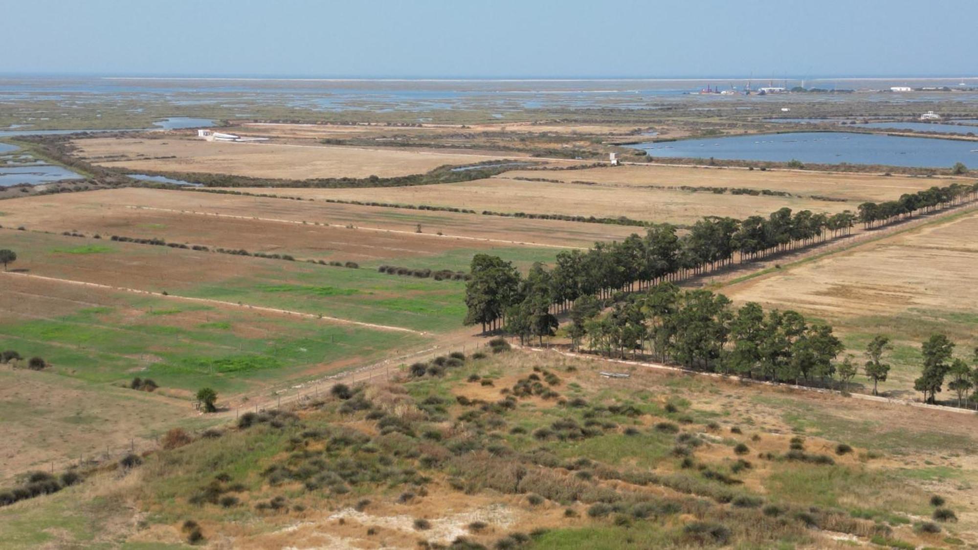 Herdade Dos Salgados Do Fialho Landhuis Faro