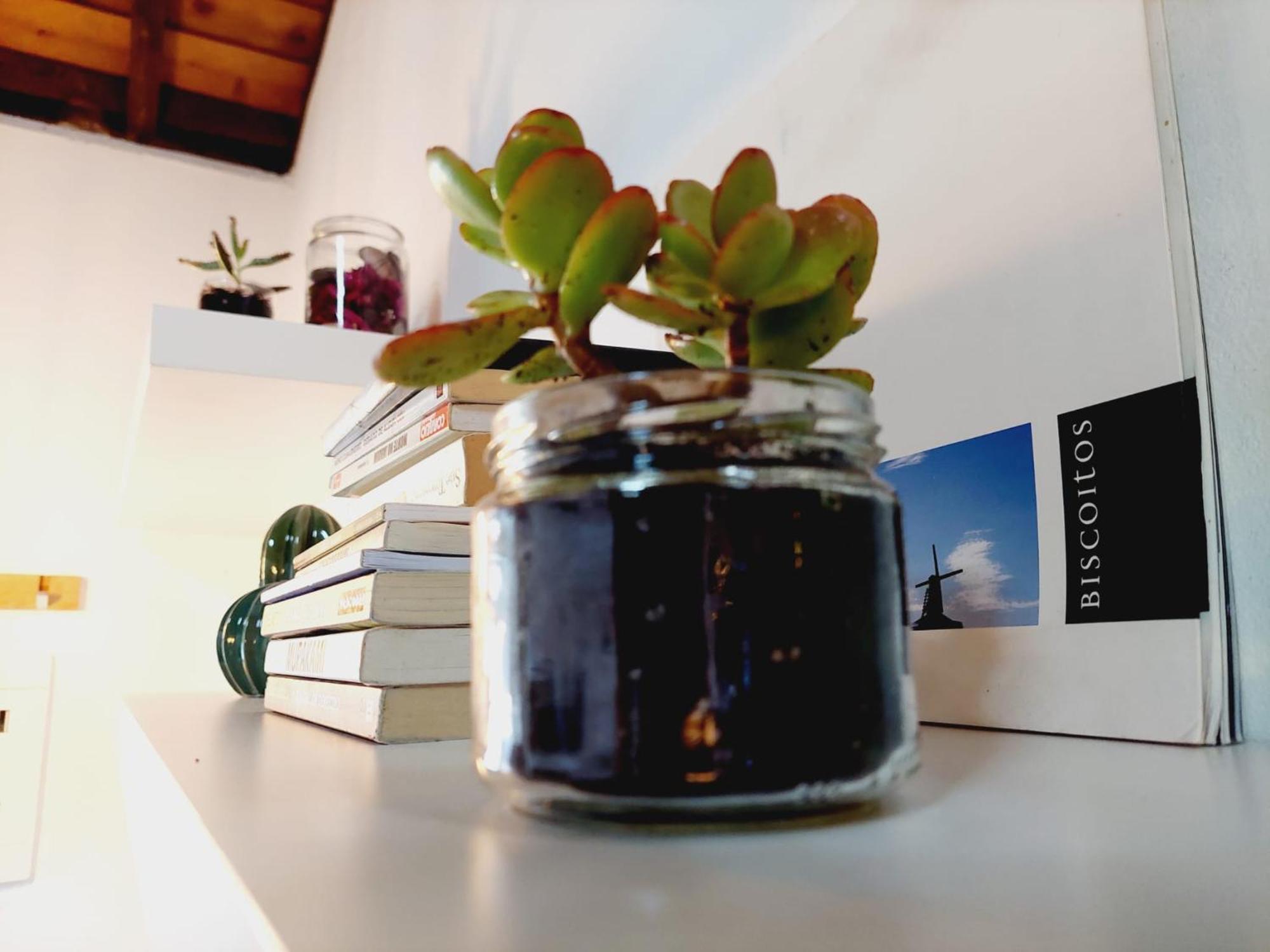 Casas Do Tareco Holiday home Biscoitos (Terceira)
